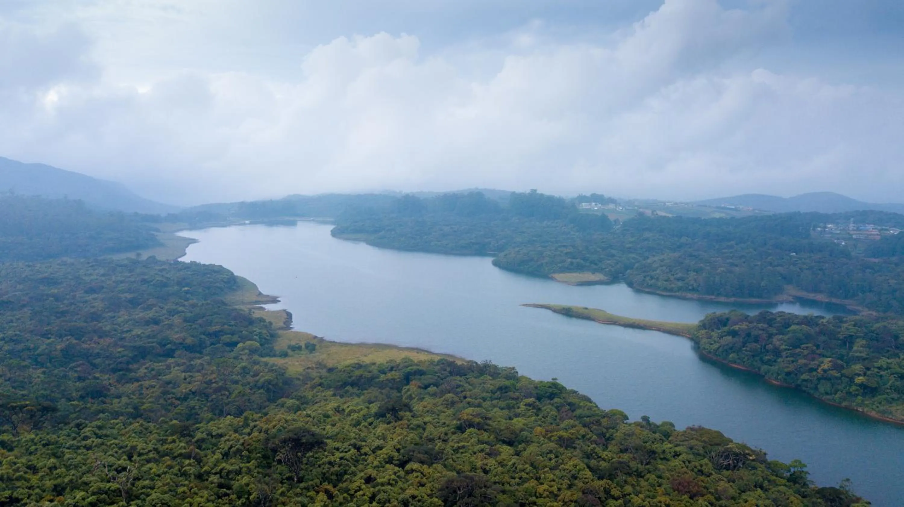 Property building in The Forest and Lake by Schofieldshire