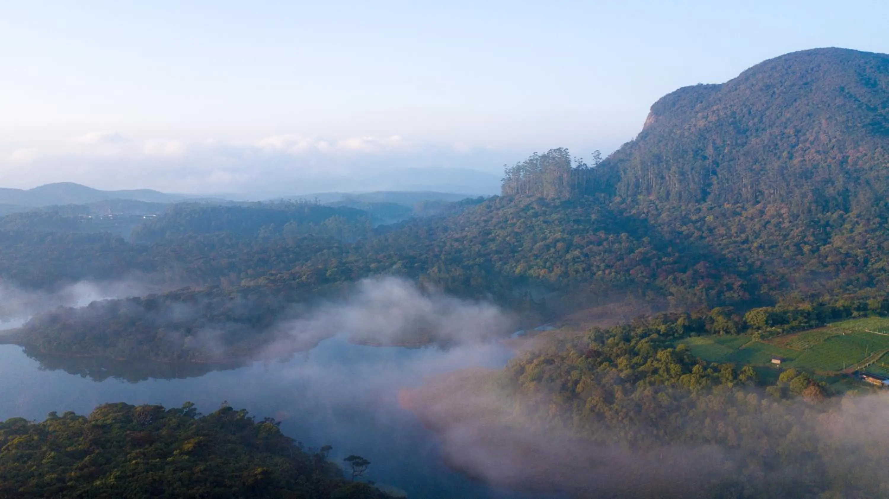 Property building in The Forest and Lake by Schofieldshire