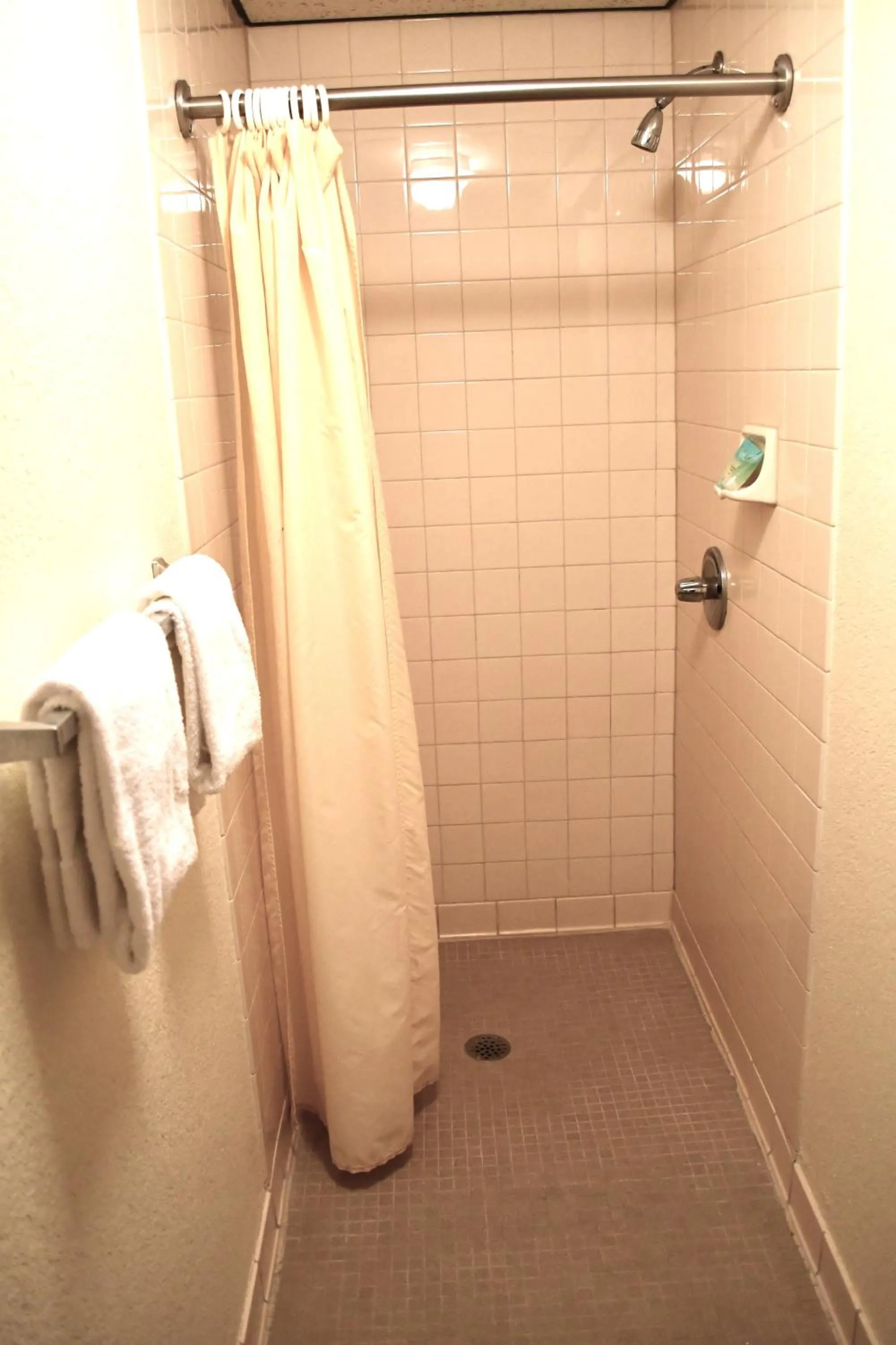 Shower in American Motel Waseca