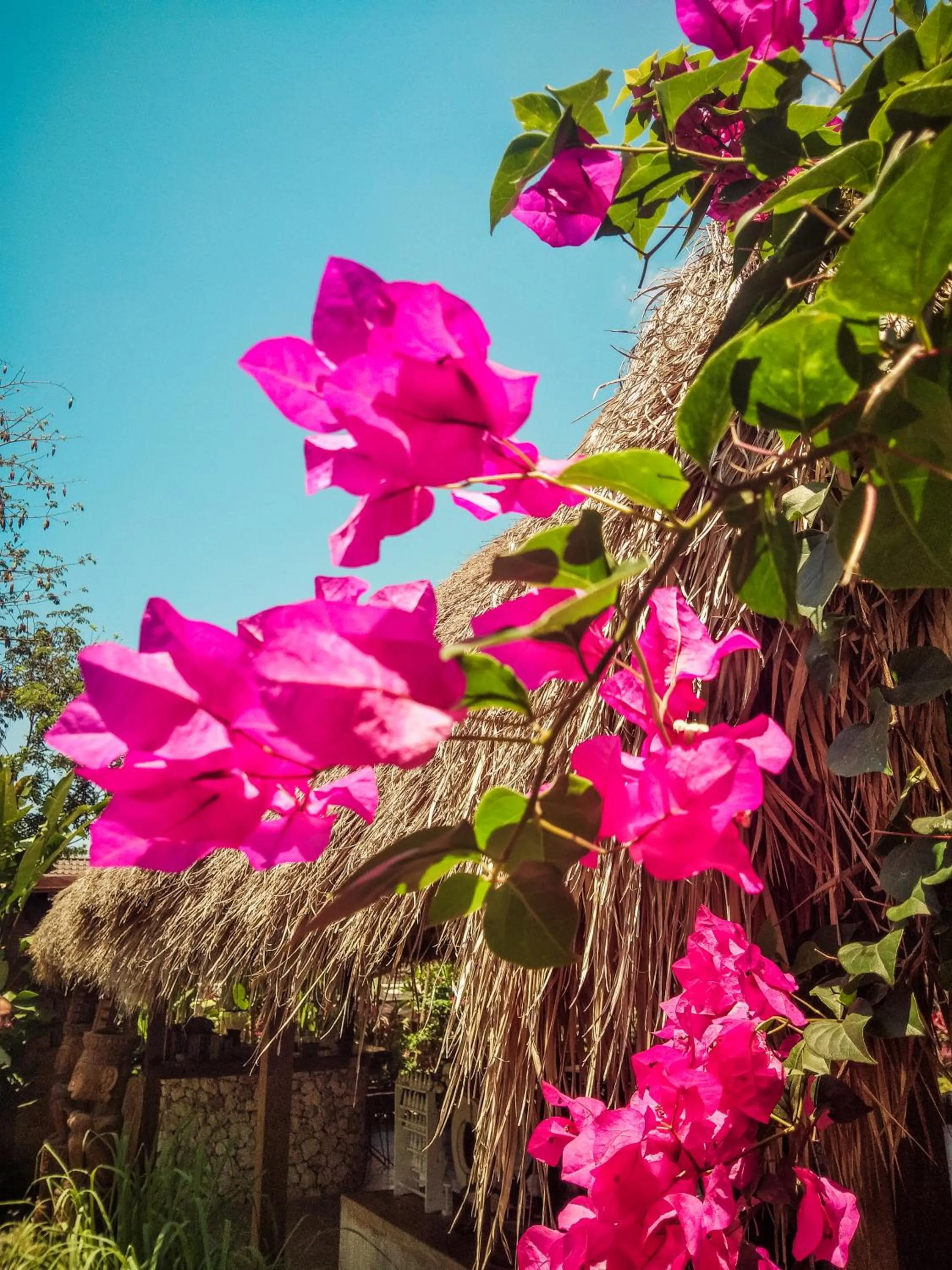 Green Escape Eco Resort