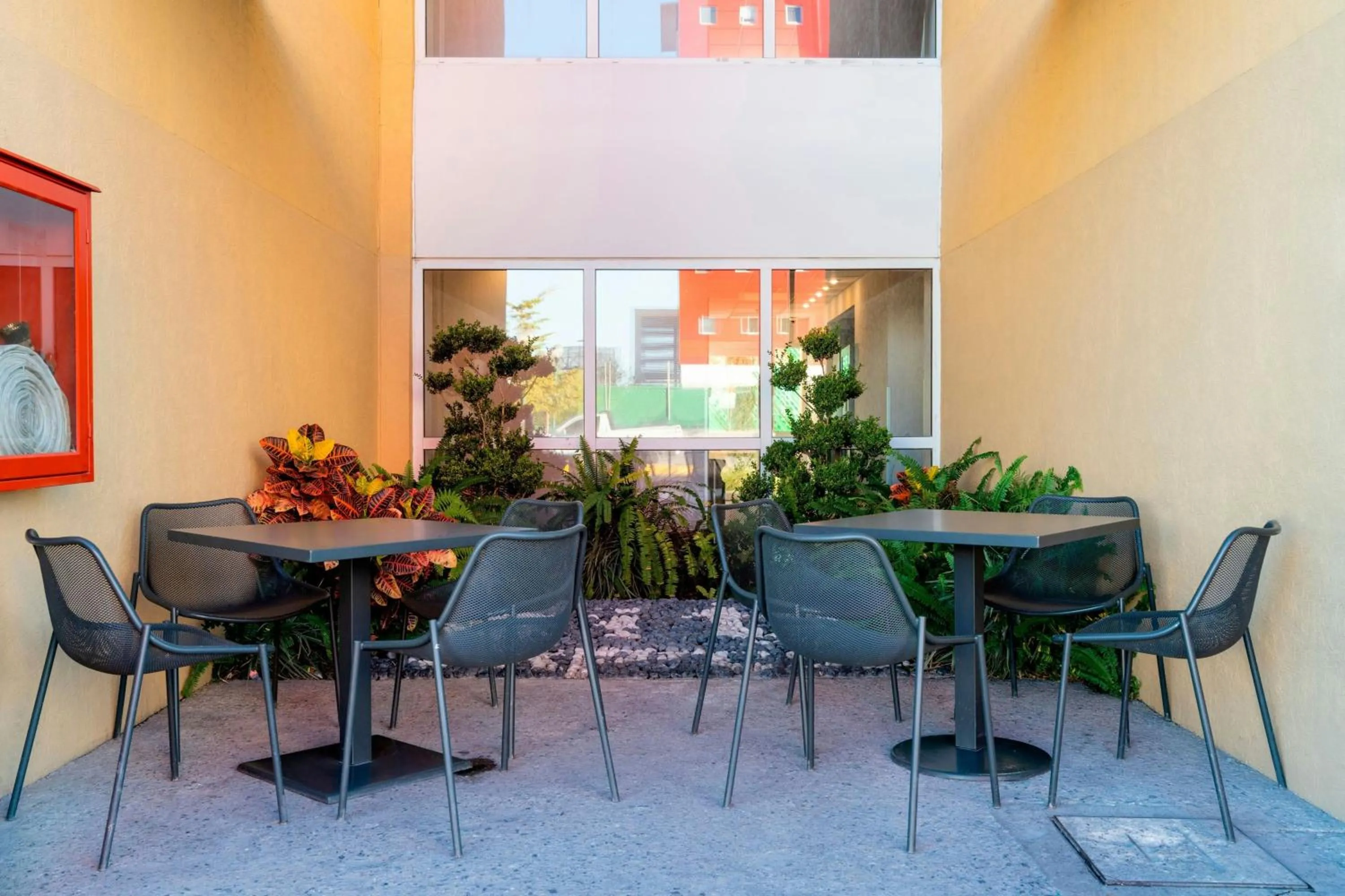 Other in City Express by Marriott Aguascalientes Sur