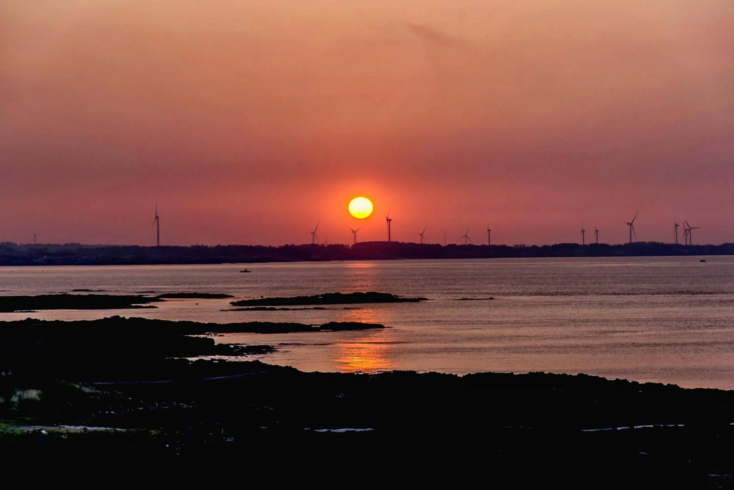 View (from property/room) in MJ Resort View (from property/room) in MJ Resort