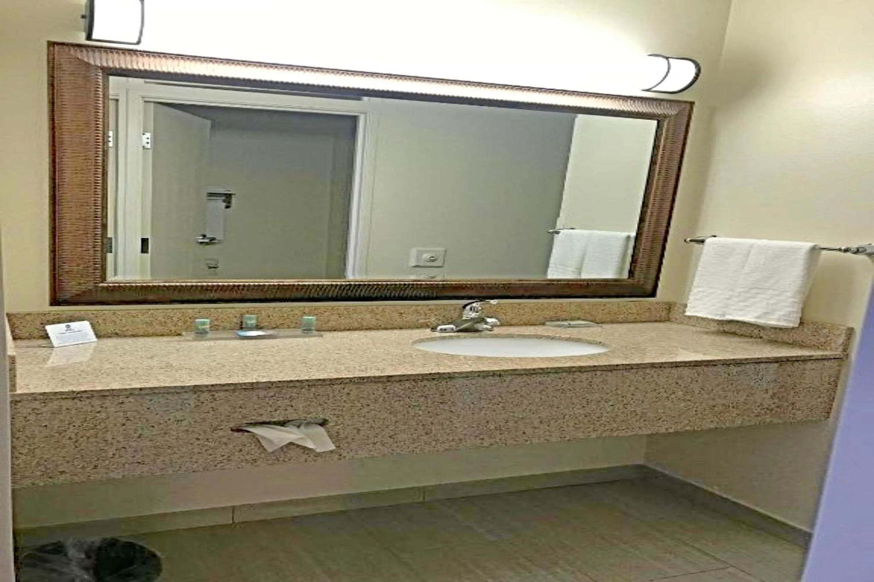 Bathroom in Rodeway Inn & Suites