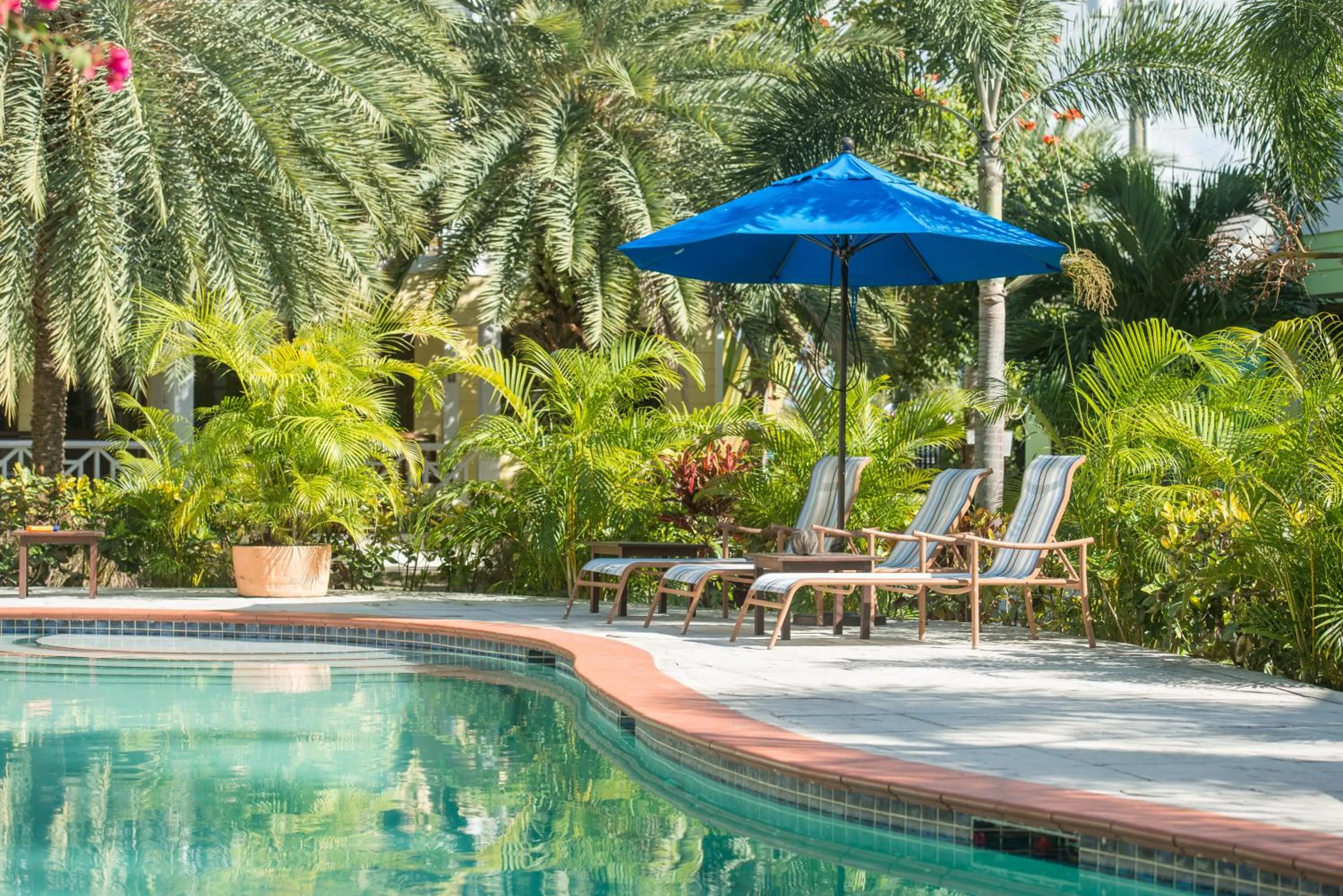 Garden view in Buccaneer Beach Club