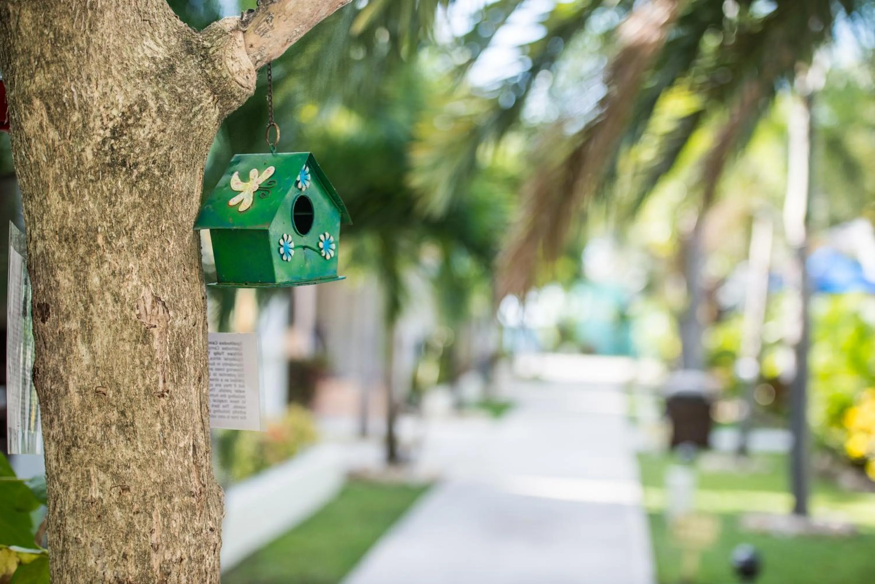 Natural landscape in Buccaneer Beach Club
