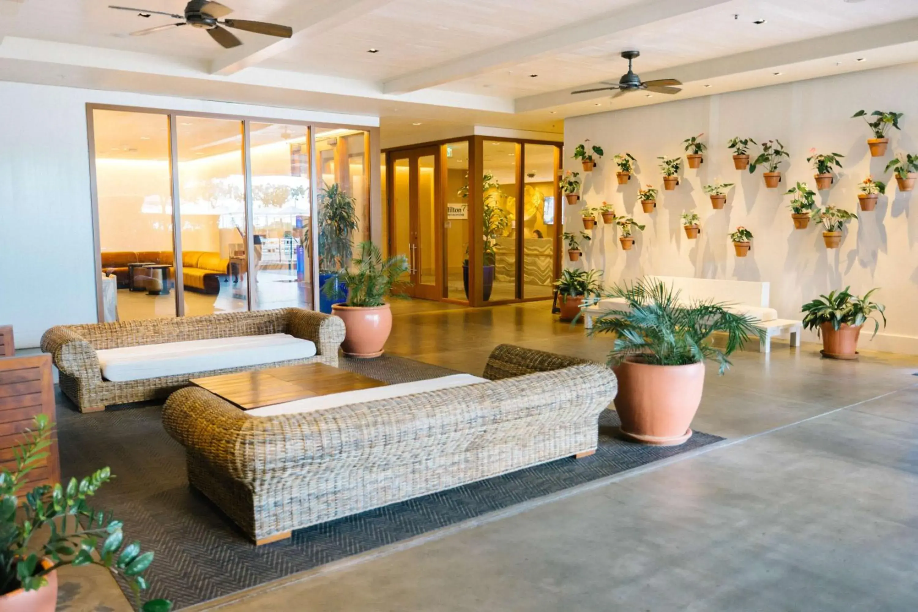 Lobby or reception in Hilton Vacation Club The Modern Honolulu Lobby or reception in Hilton Vacation Club The Modern Honolulu