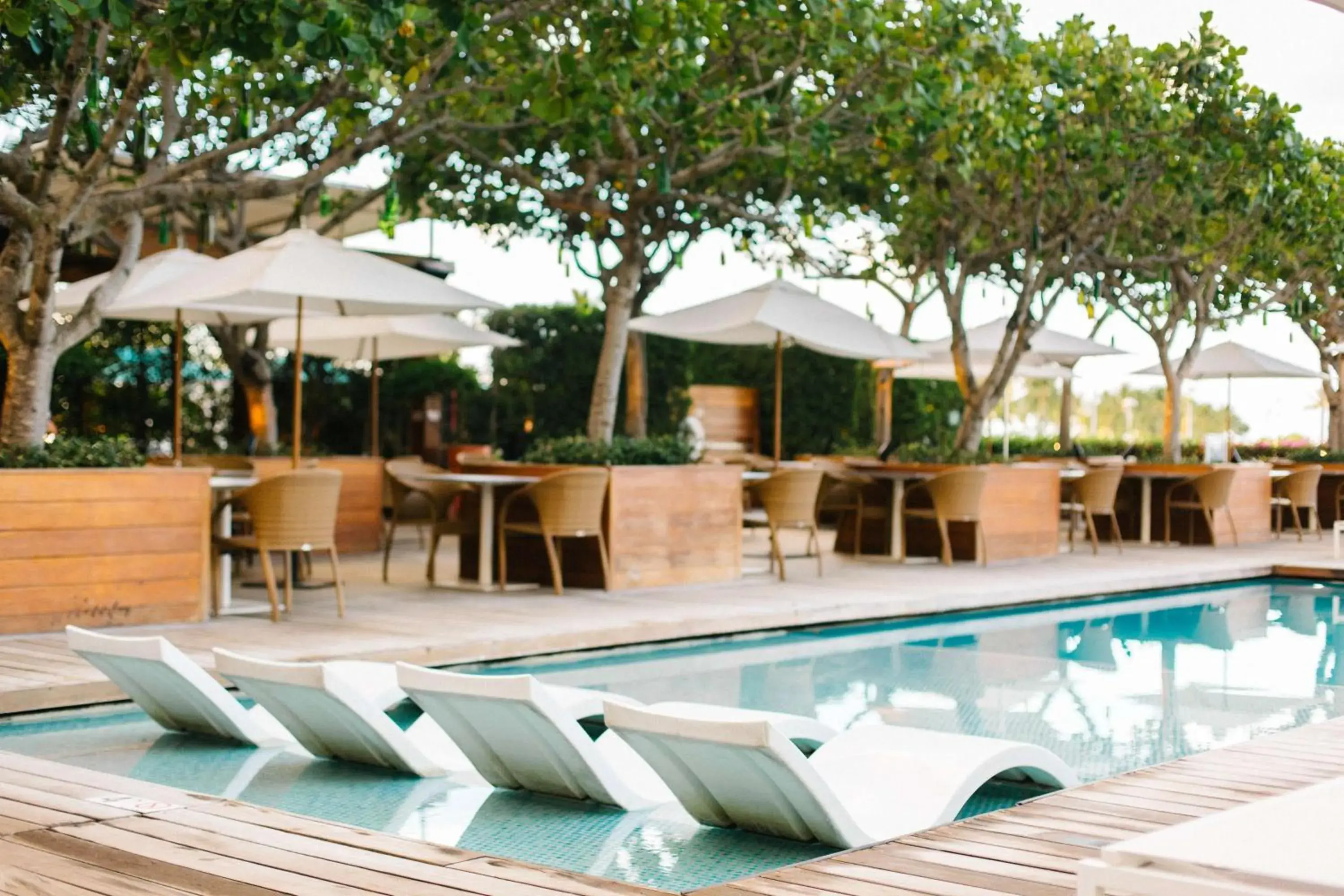 Pool view in Hilton Vacation Club The Modern Honolulu Pool view in Hilton Vacation Club The Modern Honolulu
