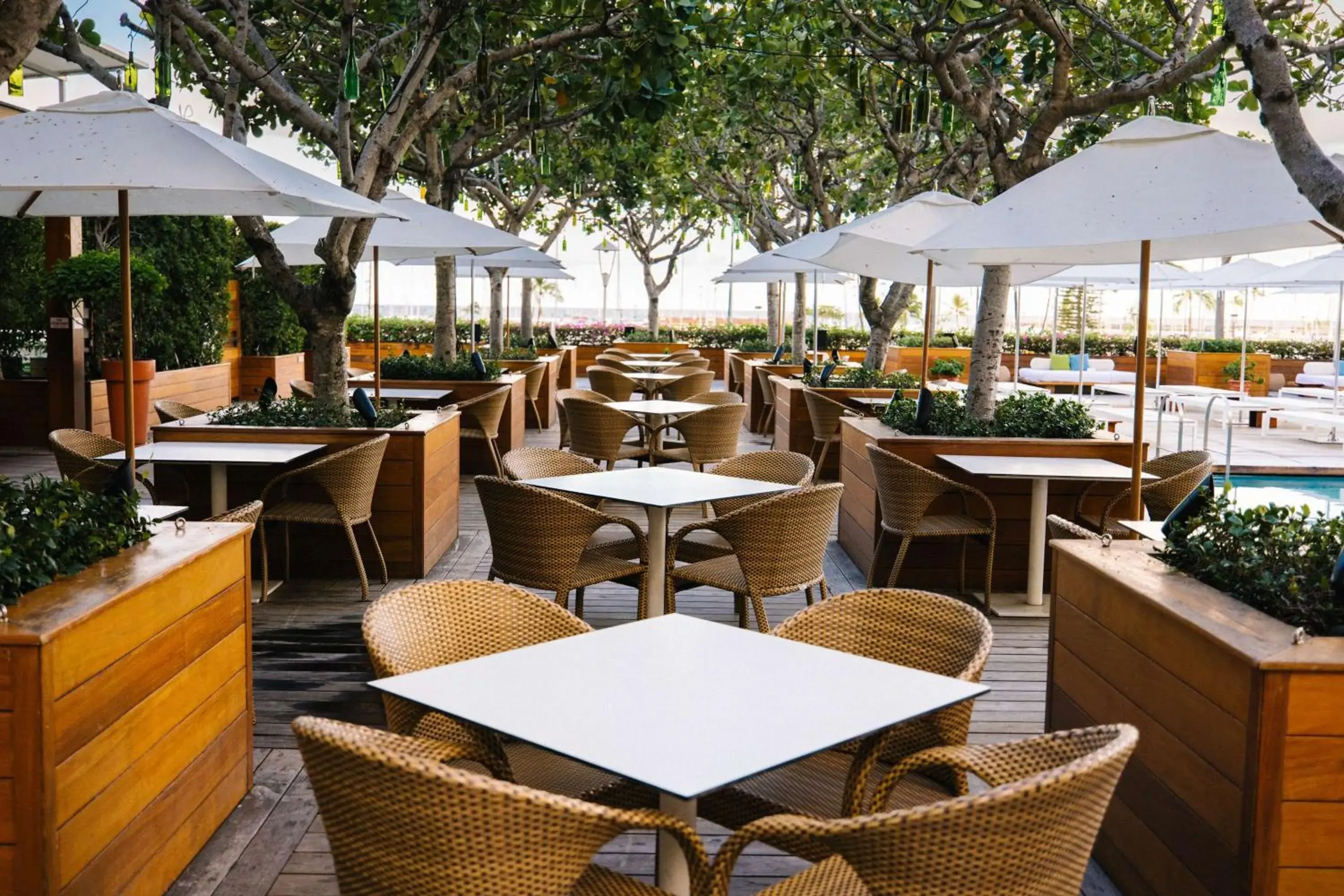 Restaurant/places to eat in Hilton Vacation Club The Modern Honolulu Restaurant/places to eat in Hilton Vacation Club The Modern Honolulu