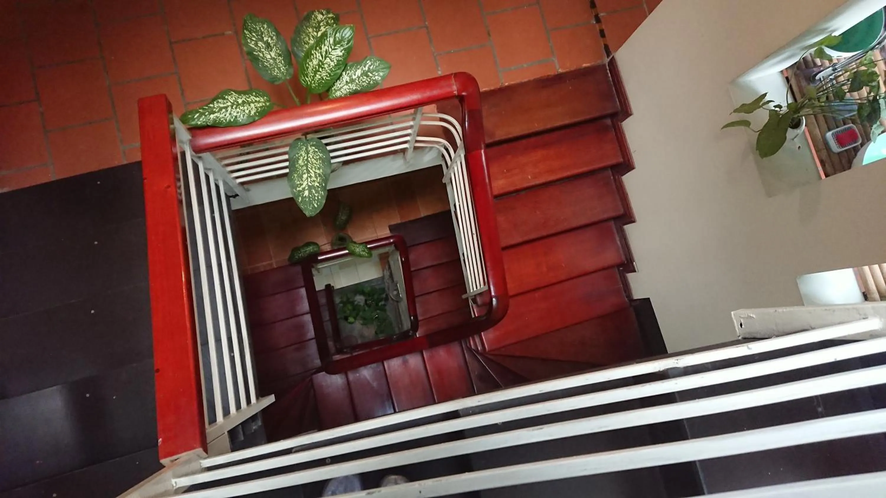 Patio in Halo Bay Homestay