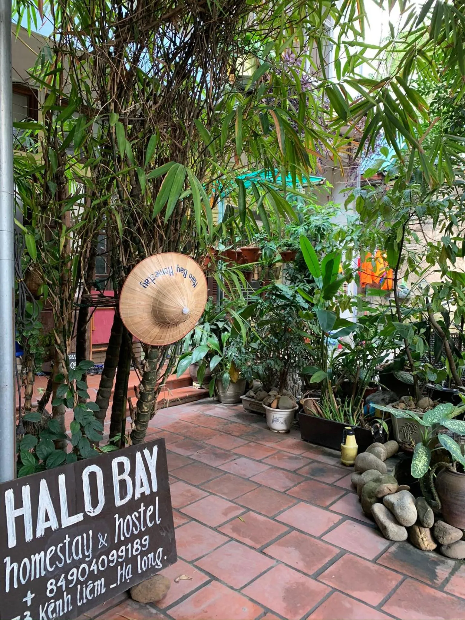 Garden in Halo Bay Homestay