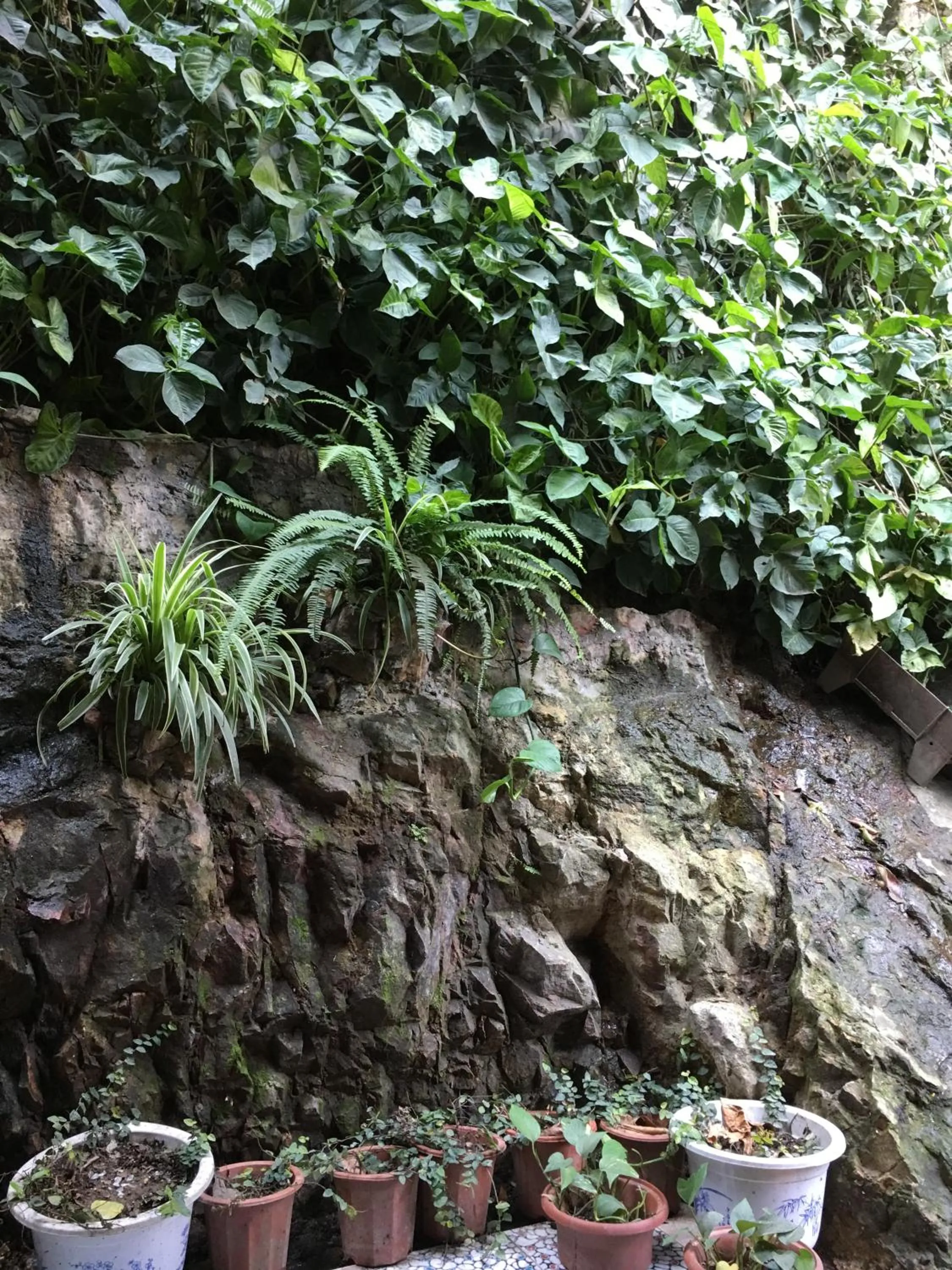 Inner courtyard view in Halo Bay Homestay