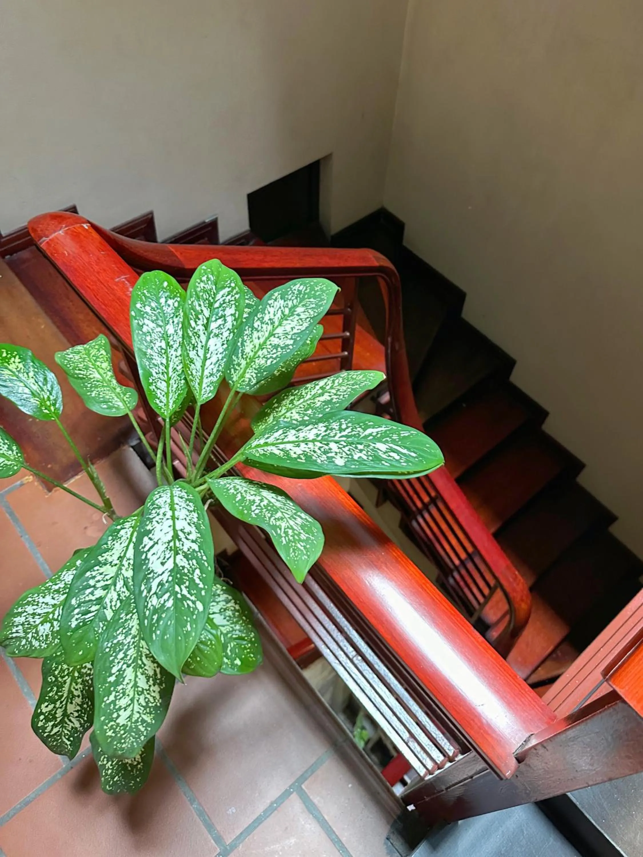 Patio in Halo Bay Homestay