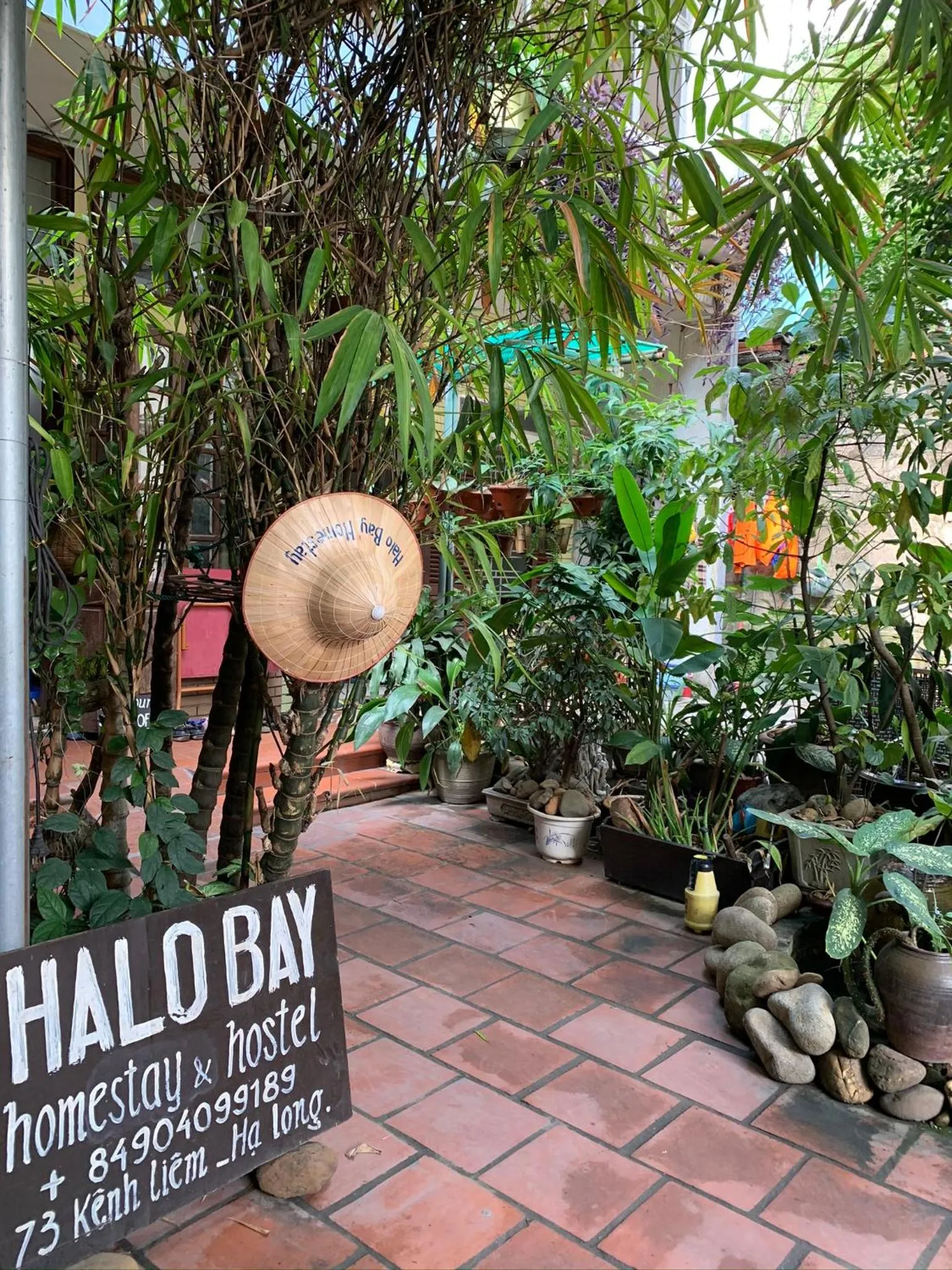 Patio in Halo Bay Homestay