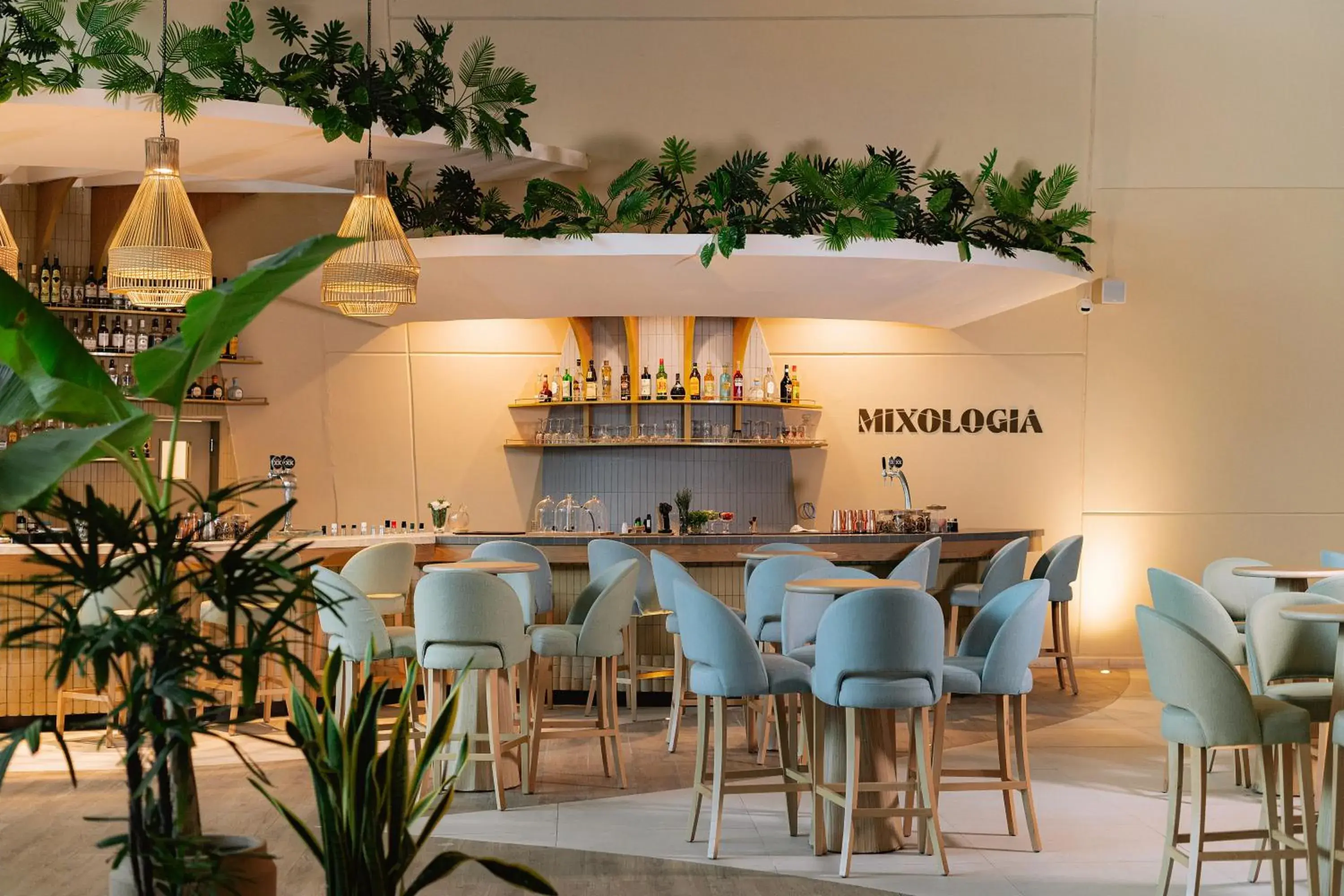 Lounge or bar in Grand Sirenis Riviera Maya Resort & Spa All Inclusive Lounge or bar in Grand Sirenis Riviera Maya Resort & Spa All Inclusive