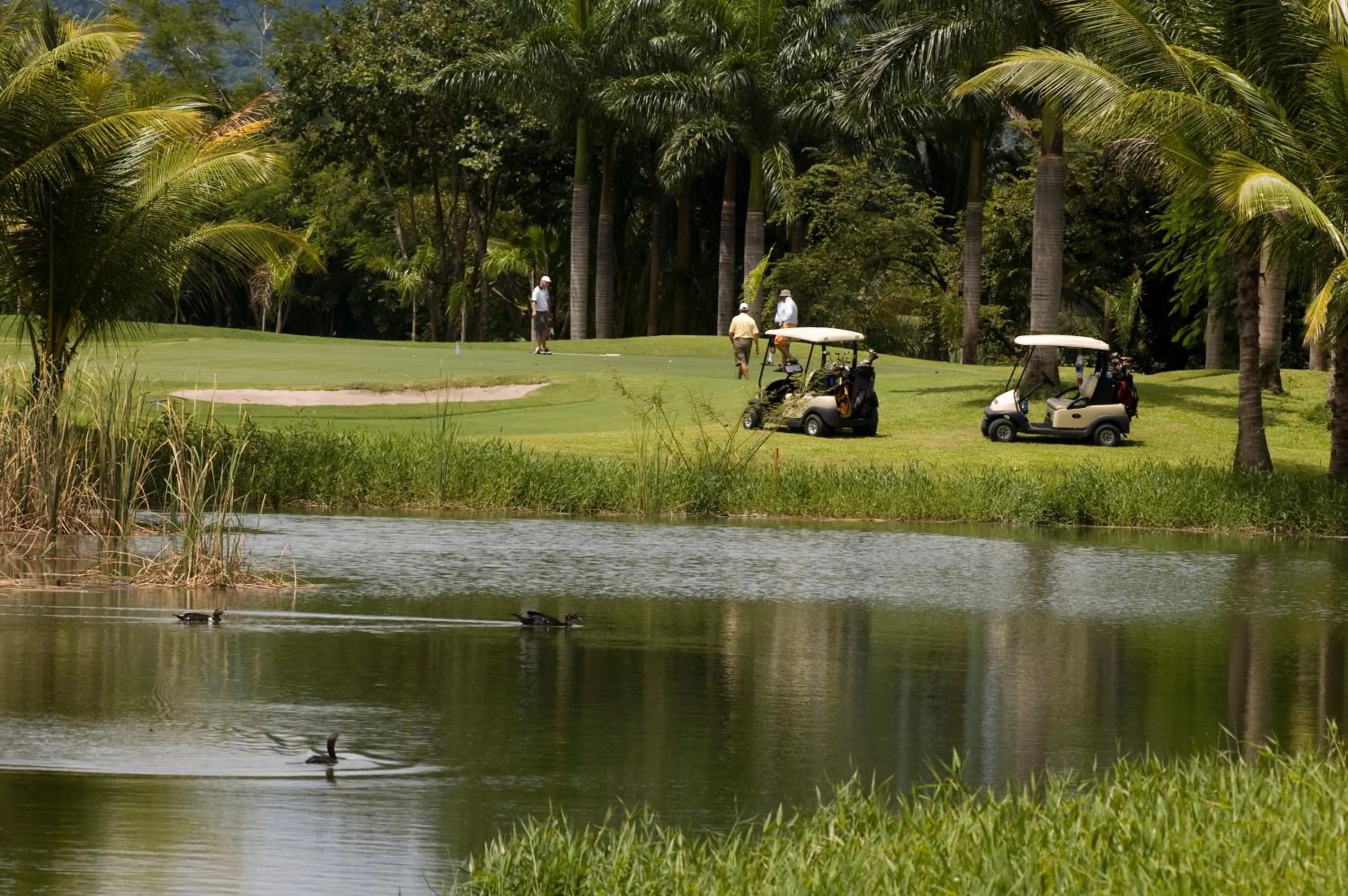 Golfcourse in Barceló Tambor - All Inclusive