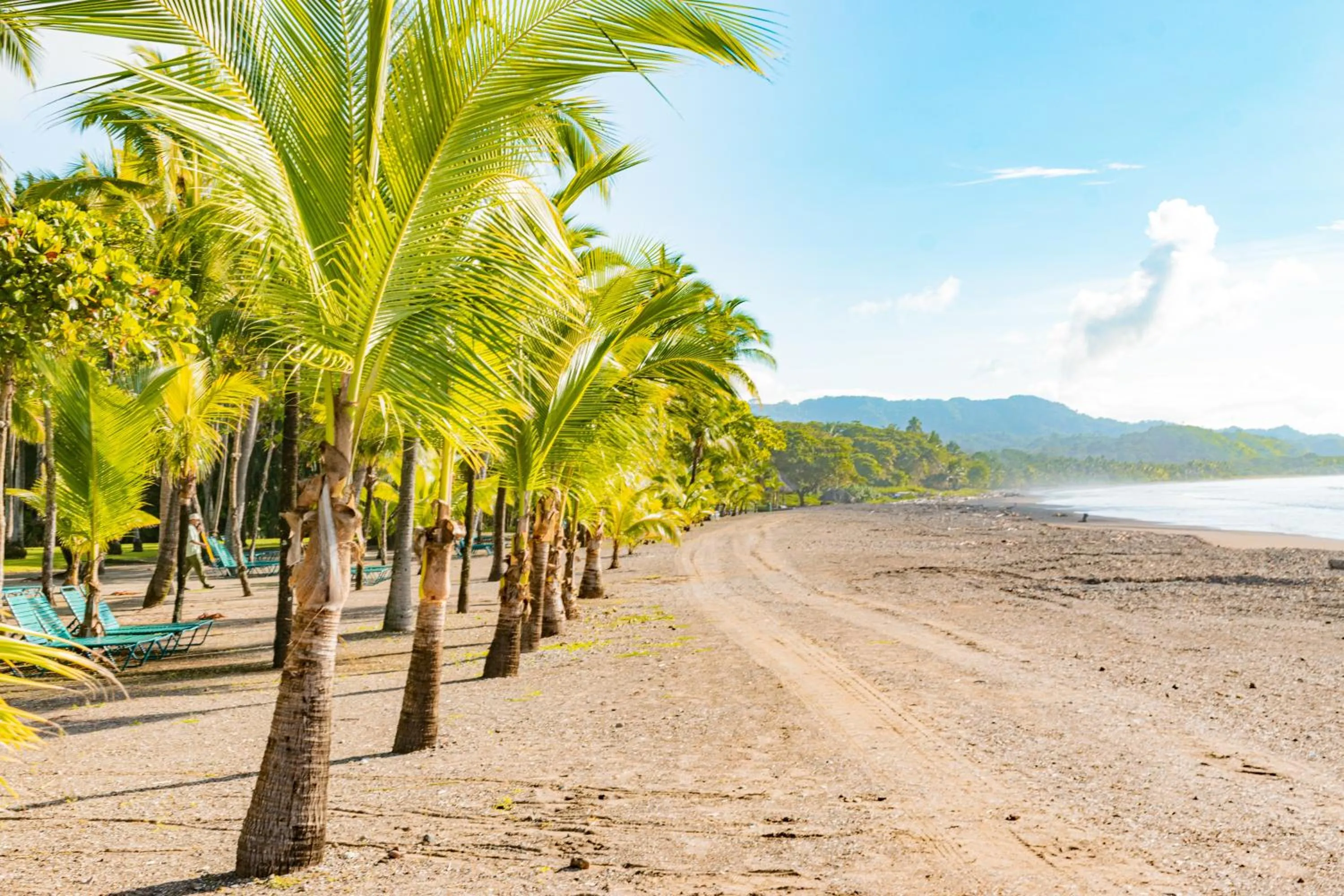 Beach in Barceló Tambor - All Inclusive