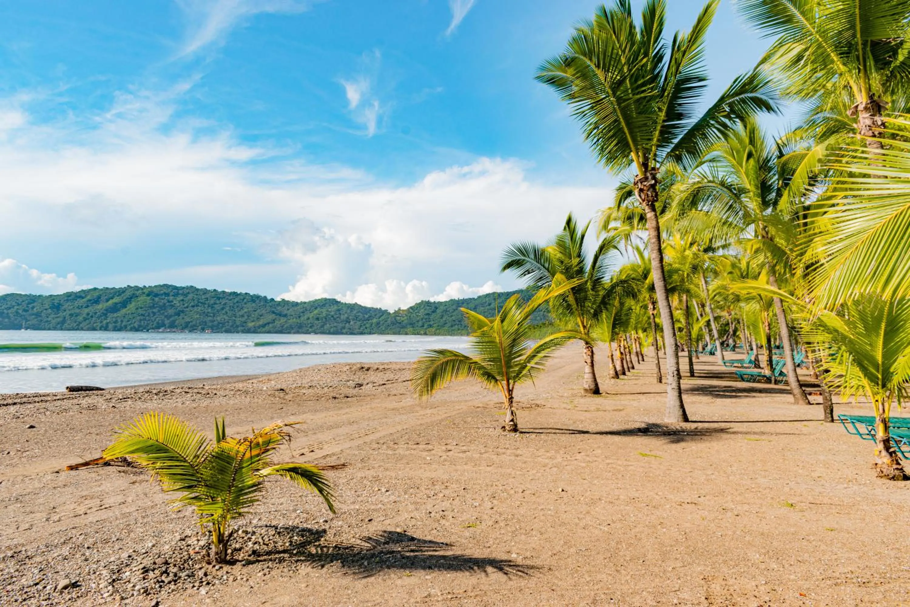 Beach in Barceló Tambor - All Inclusive