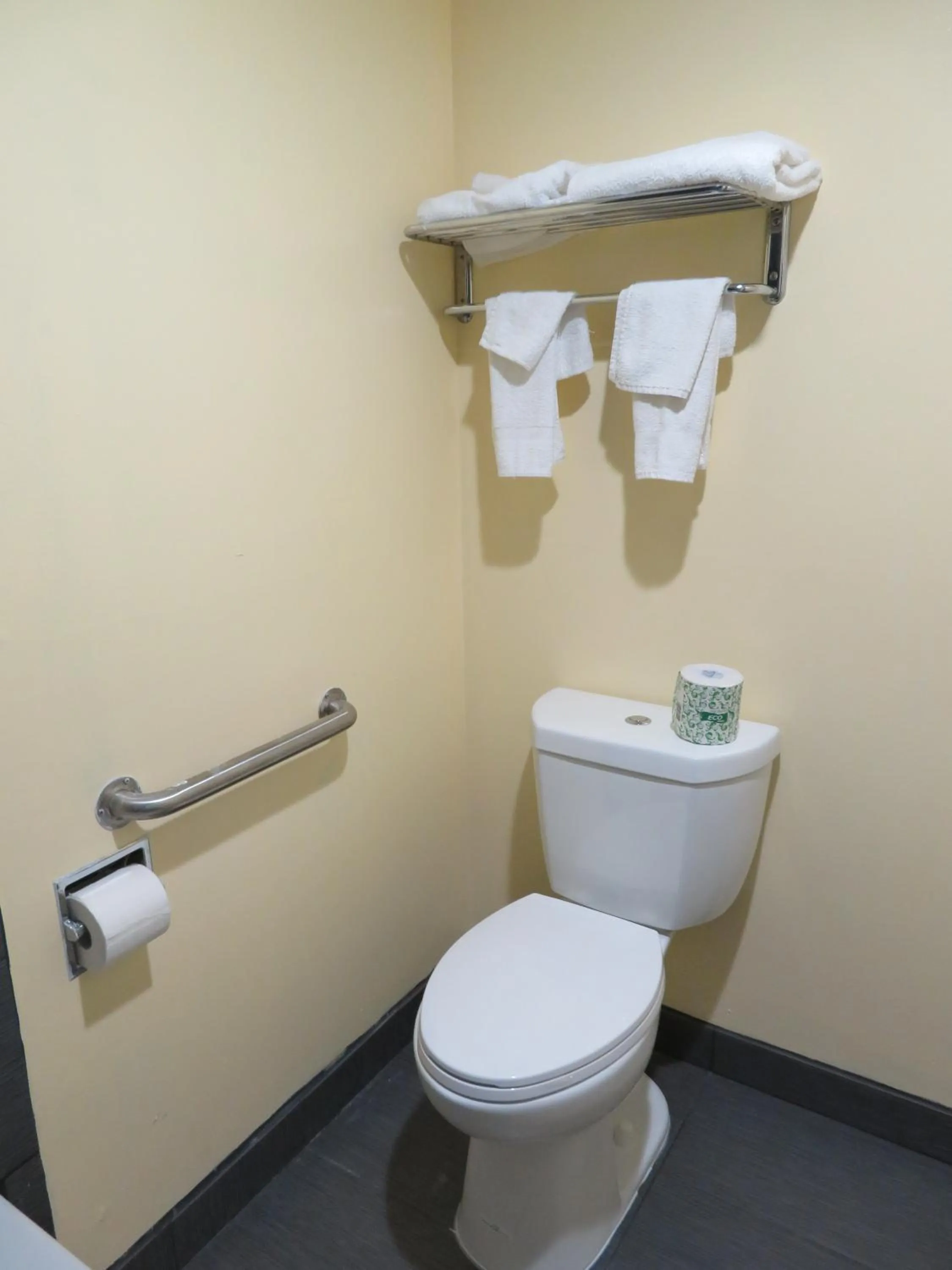 Toilet in Royal Crest Motel