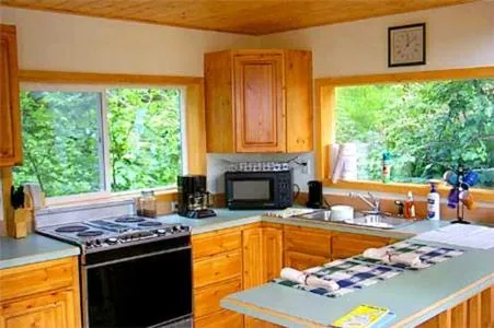 Kitchen or kitchenette in Alaska Adventure Cabins