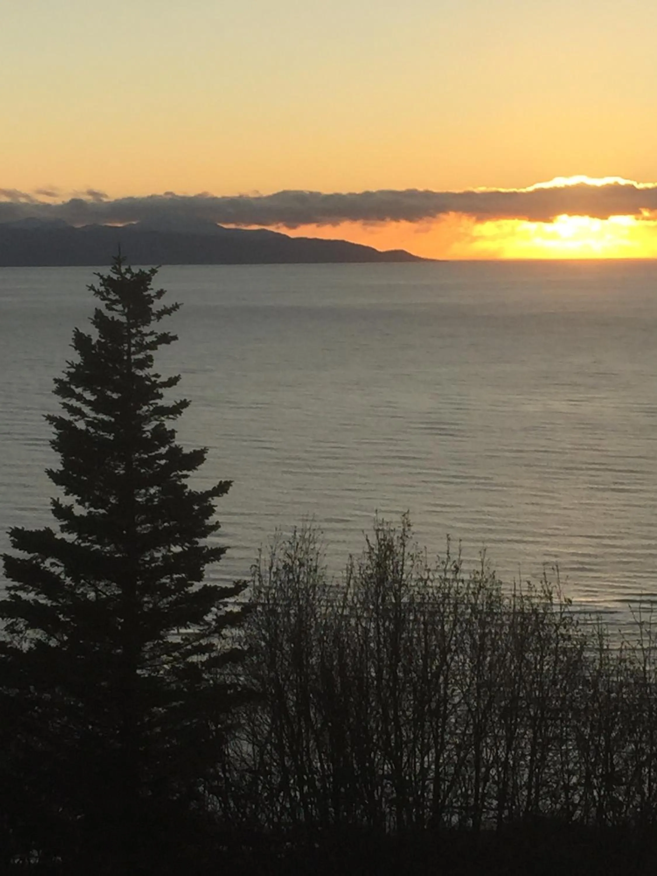 Alaska Adventure Cabins