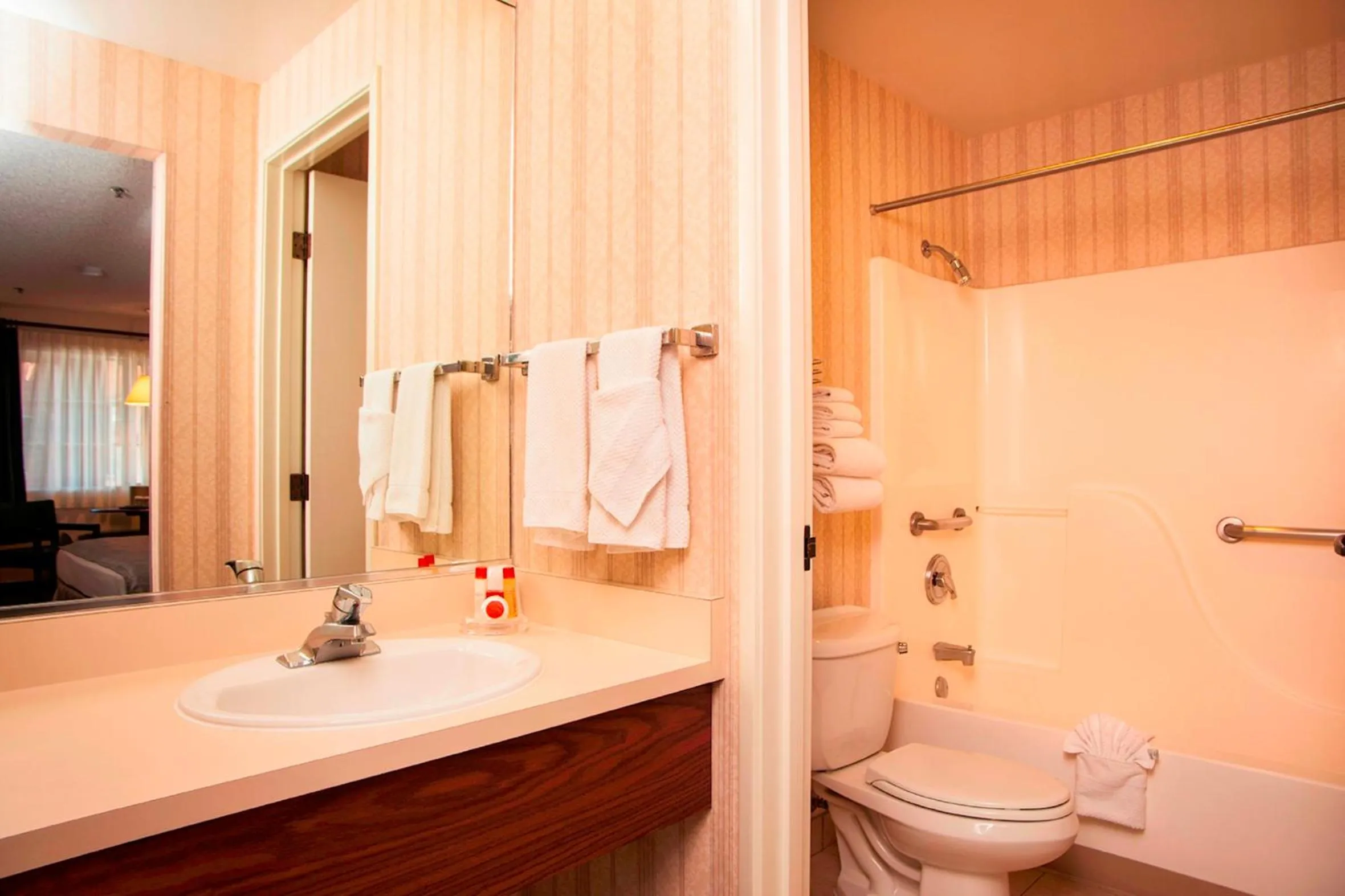 Bathroom in Carson Valley Motor Lodge and Suites