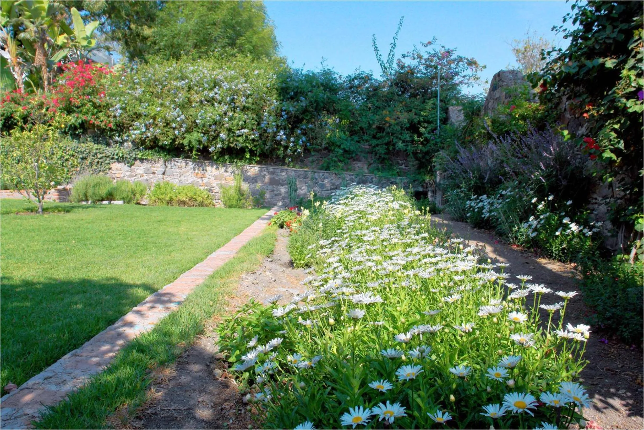 Garden in Suites Santo Domingo