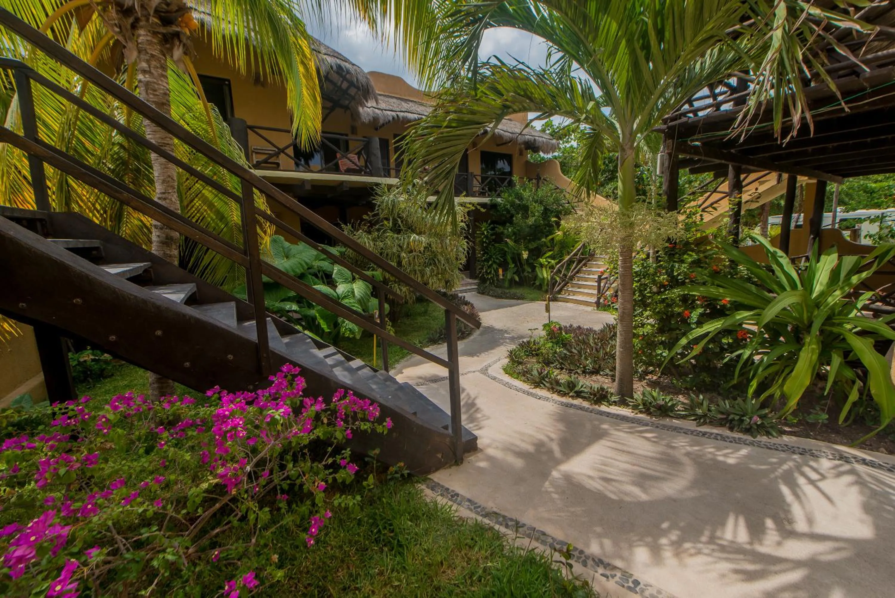 Garden view in Hotel Luna De Plata Mahahual