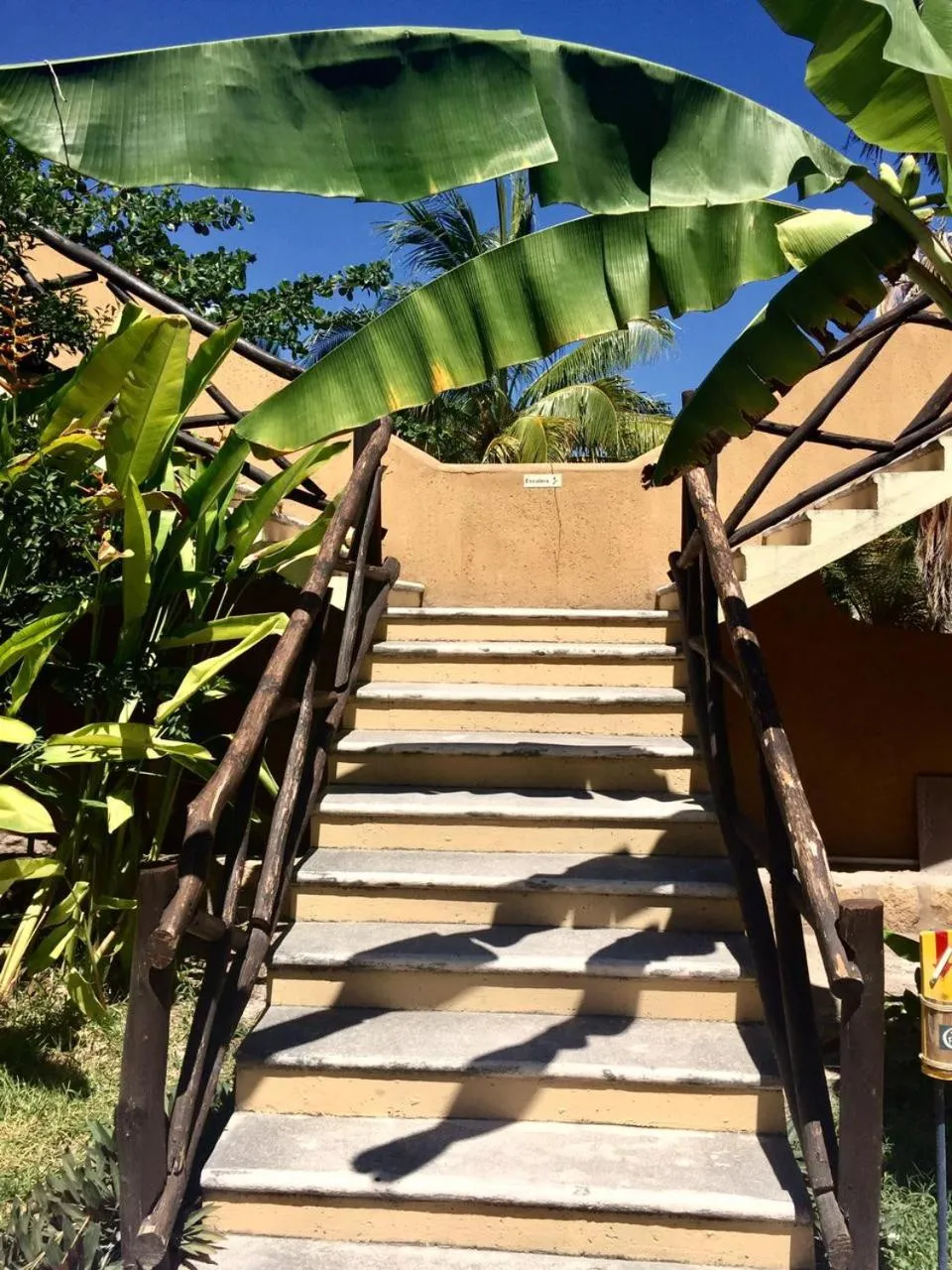 Natural landscape in Hotel Luna De Plata Mahahual