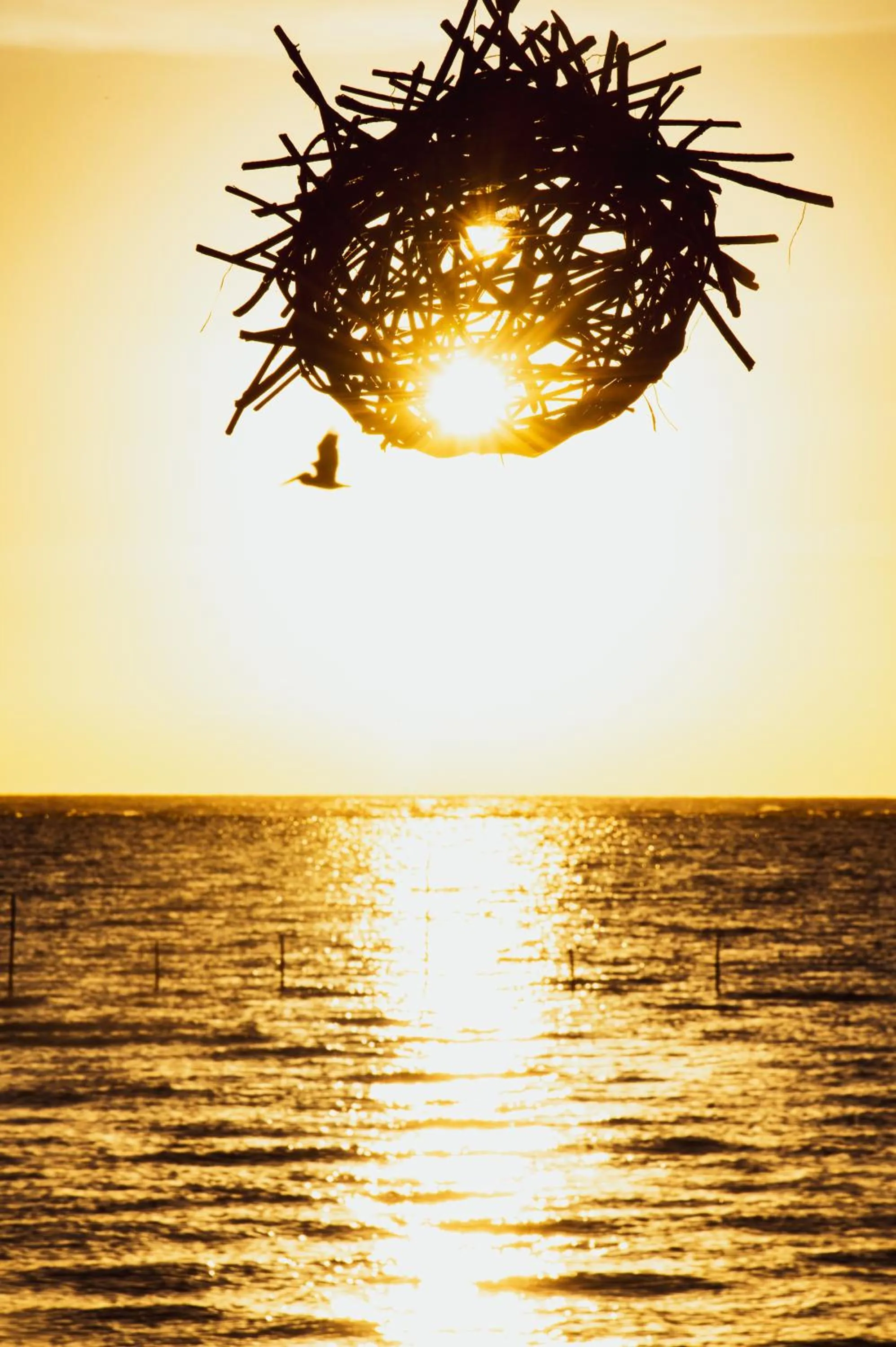 Natural landscape in Hotel Luna De Plata Mahahual
