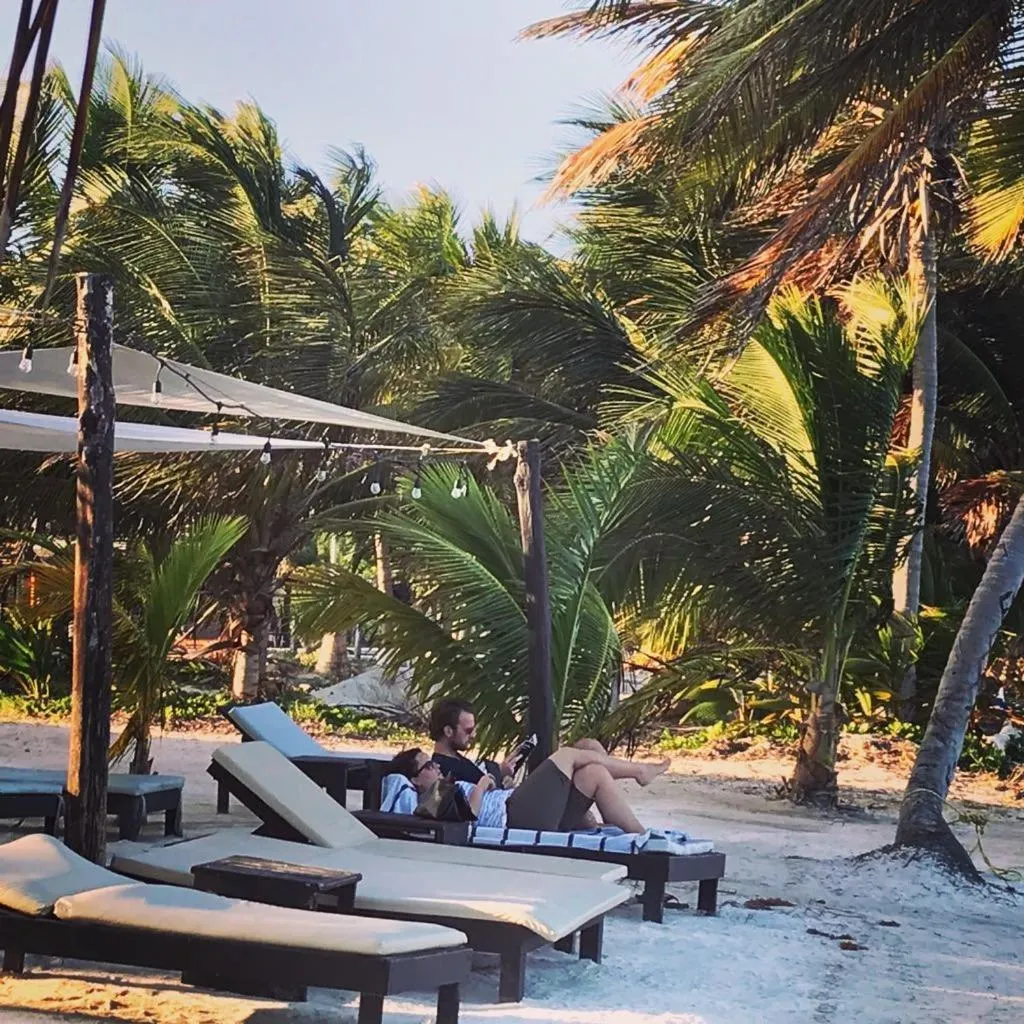 Natural landscape in Hotel Luna De Plata Mahahual
