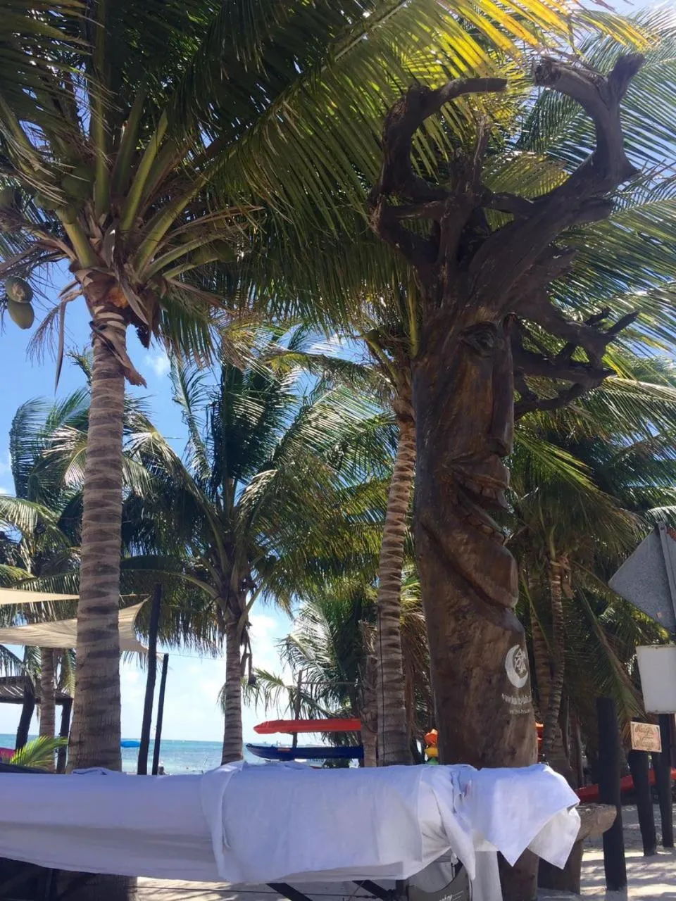 Off site in Hotel Luna De Plata Mahahual