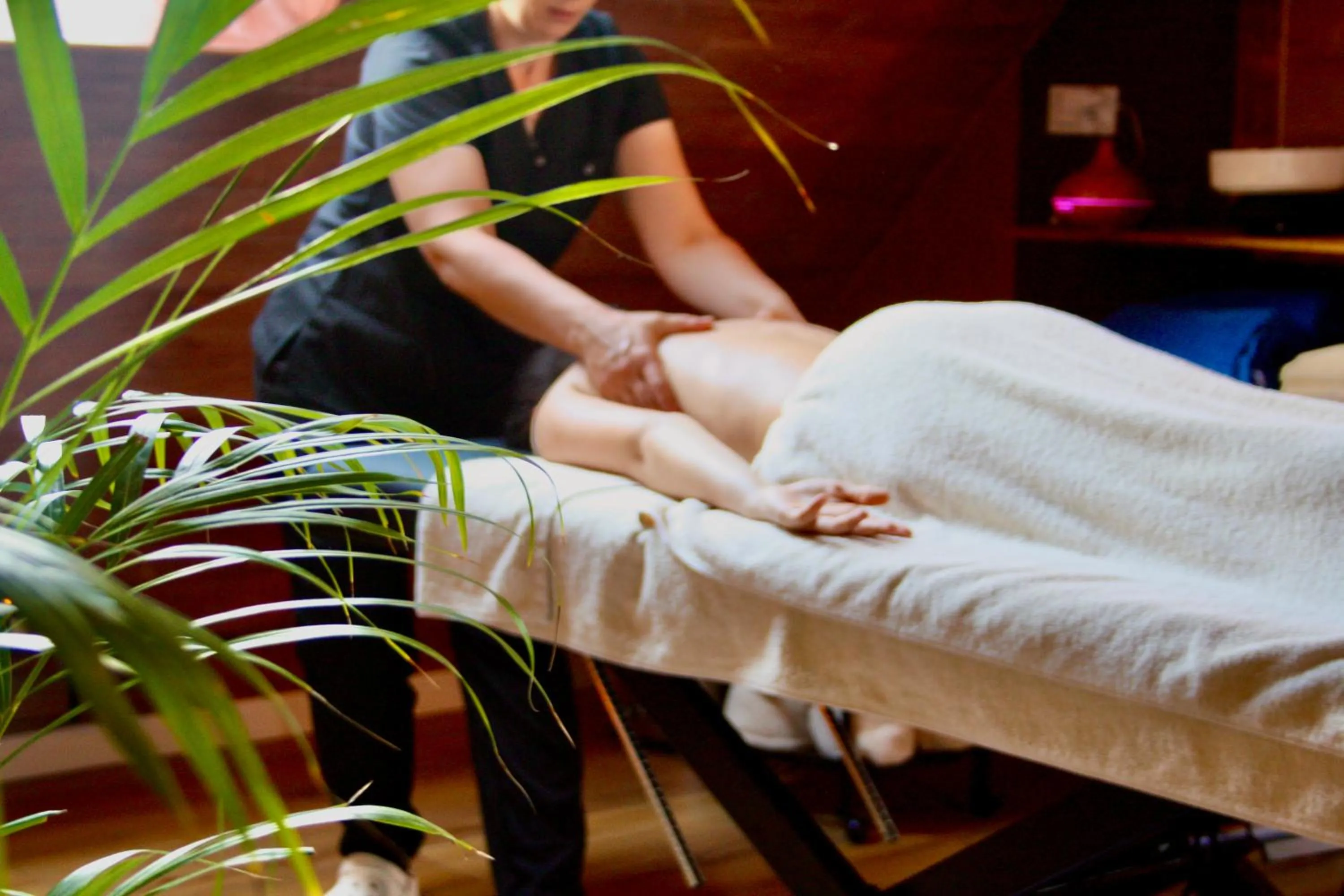Massage in Zielony Zakątek