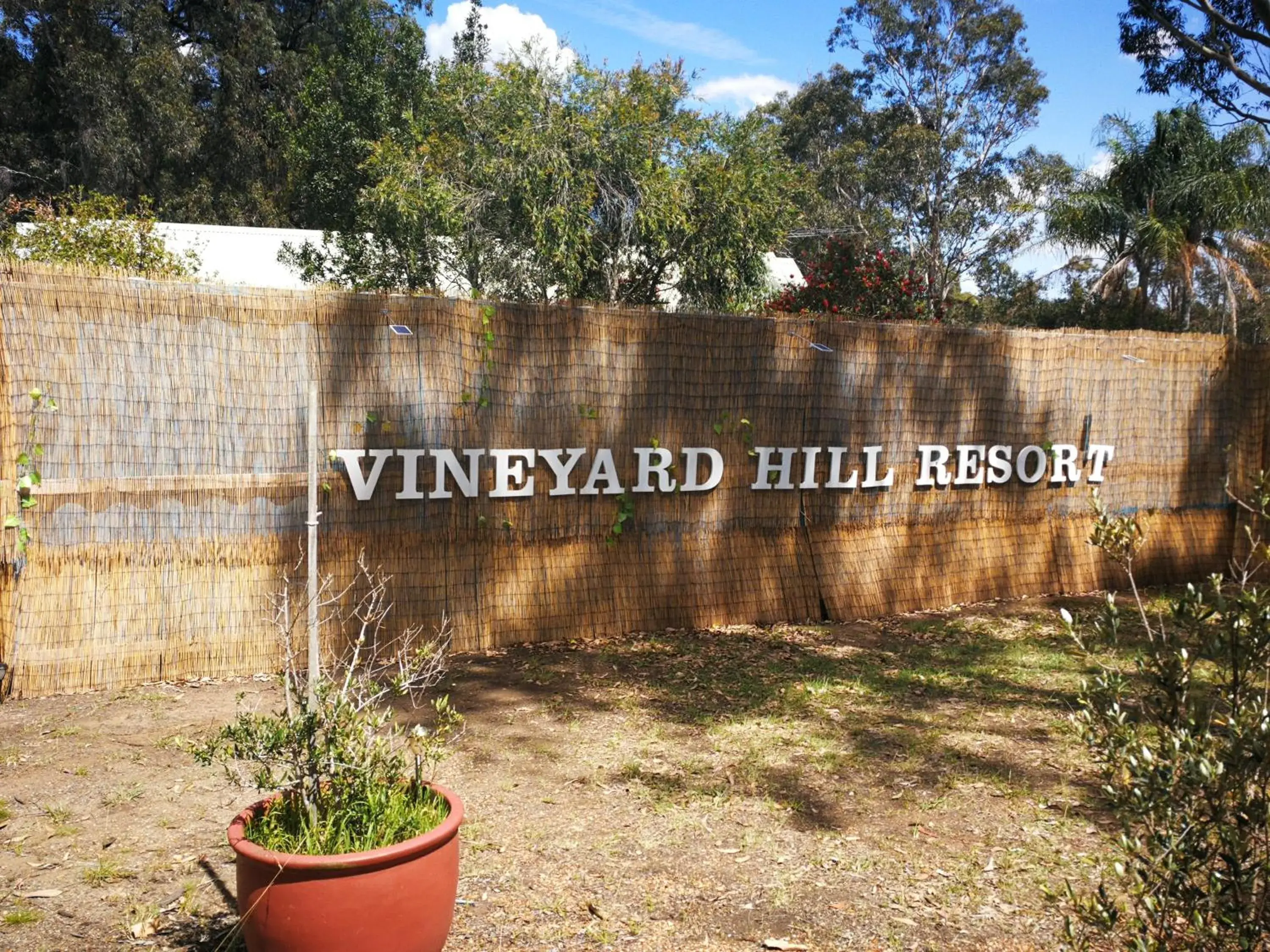 Vineyard Hill Vineyard Hill