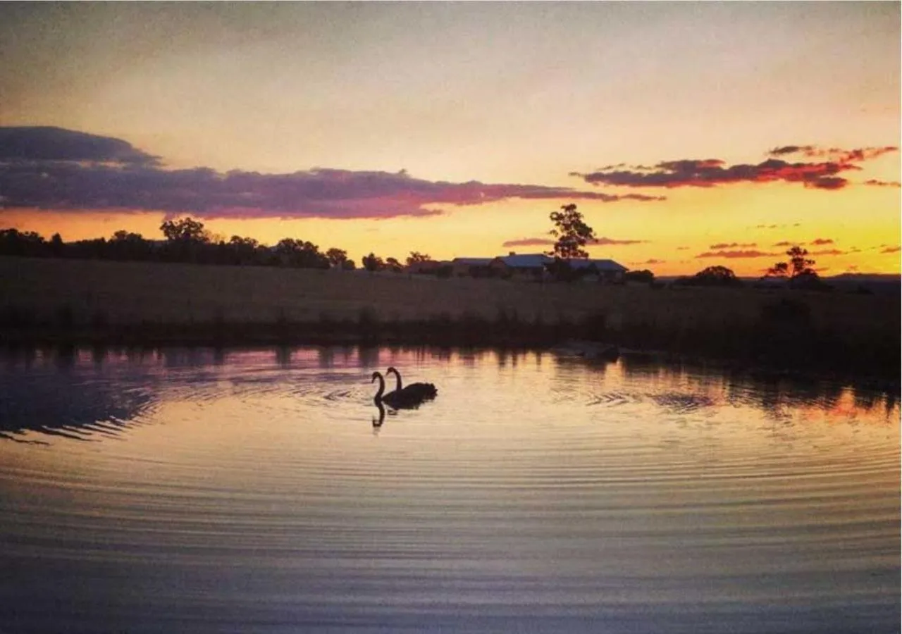 Garden in Bluebush Estate