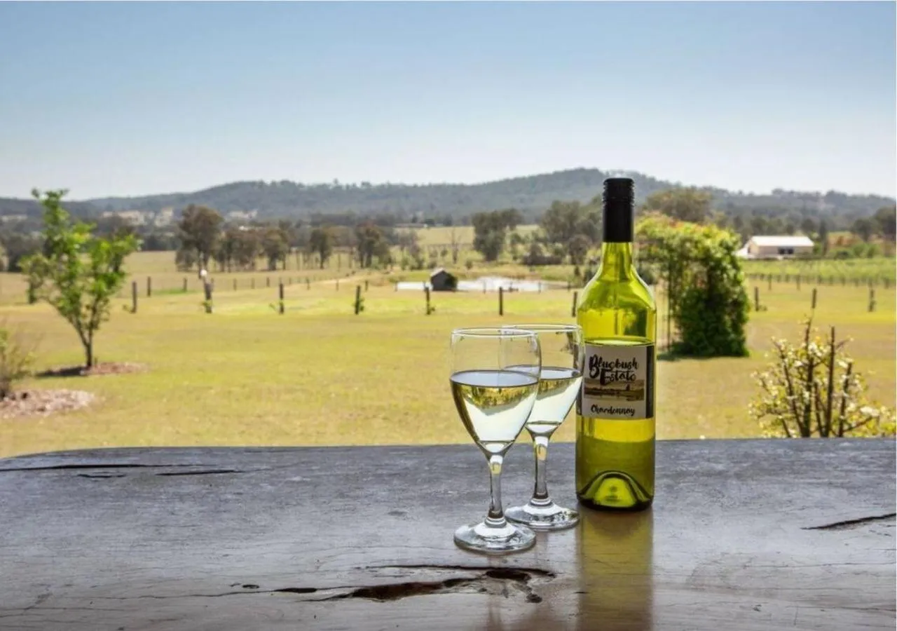 View (from property/room) in Bluebush Estate