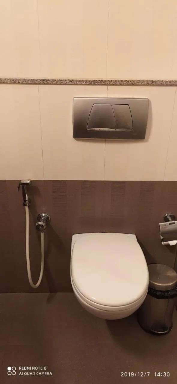 Toilet in The Curzon Court