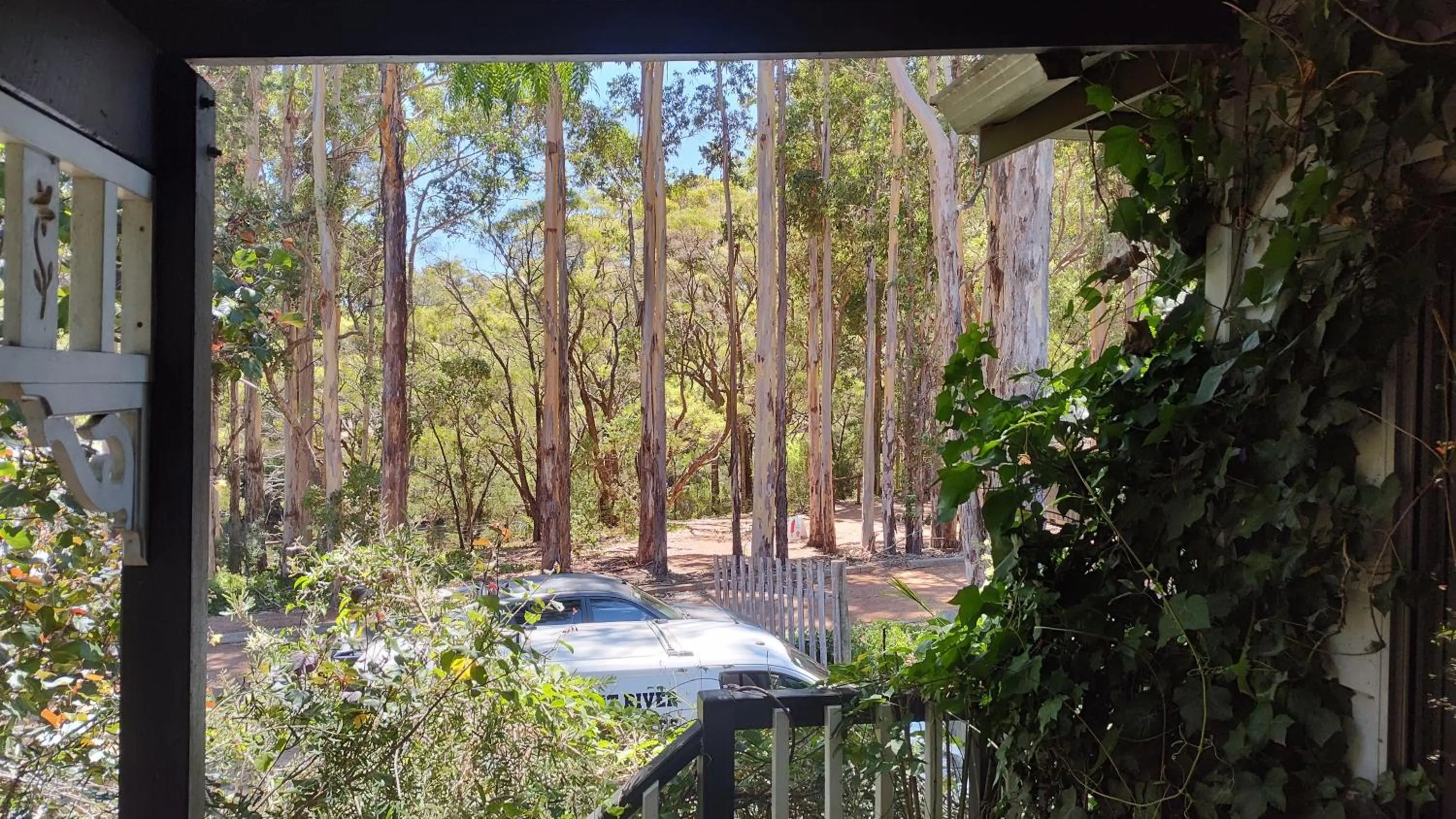 Garden view in Adamsons Riverside