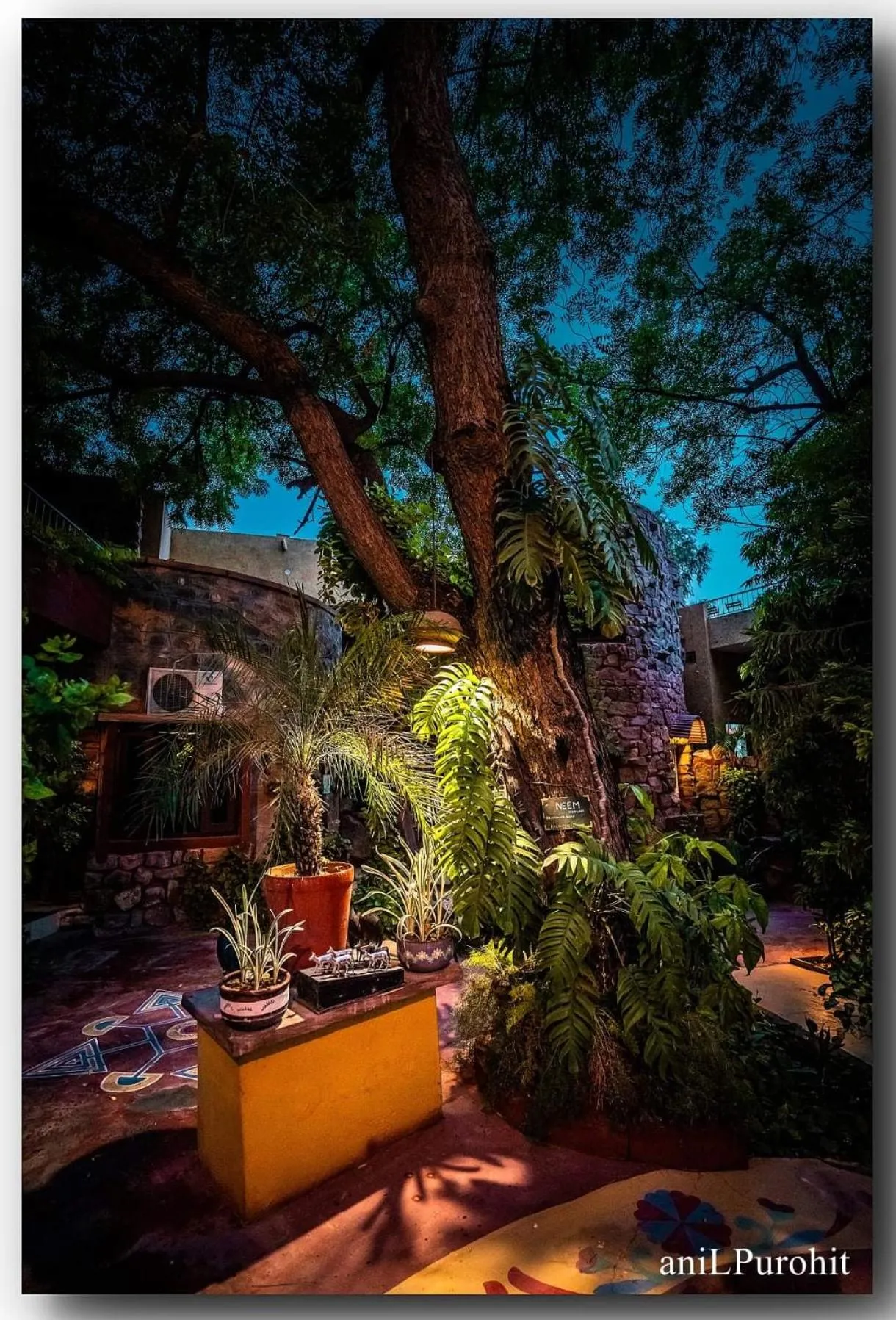 Garden in Mandore Guest House