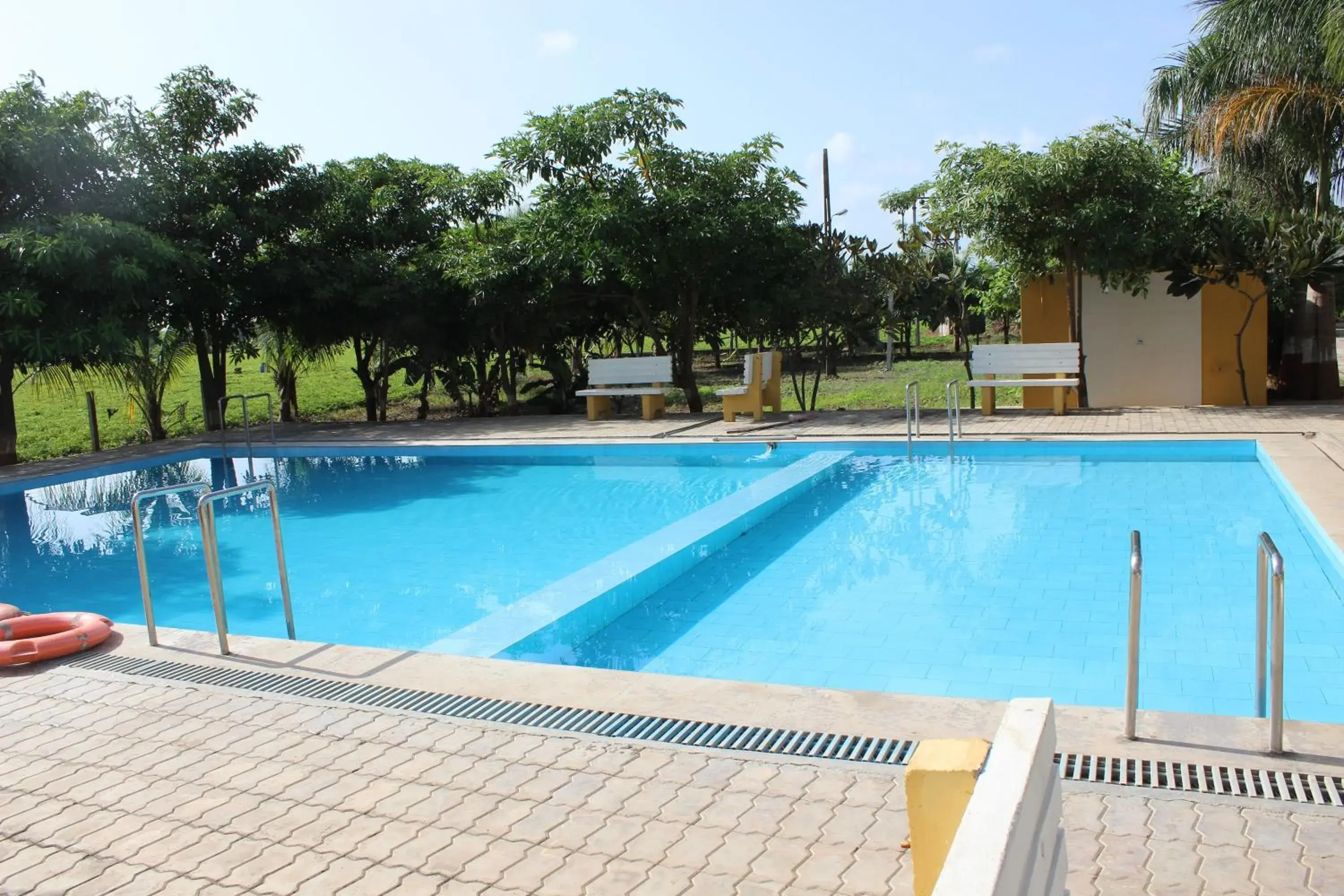 Swimming pool in Gir Jungle Lodge Swimming pool in Gir Jungle Lodge