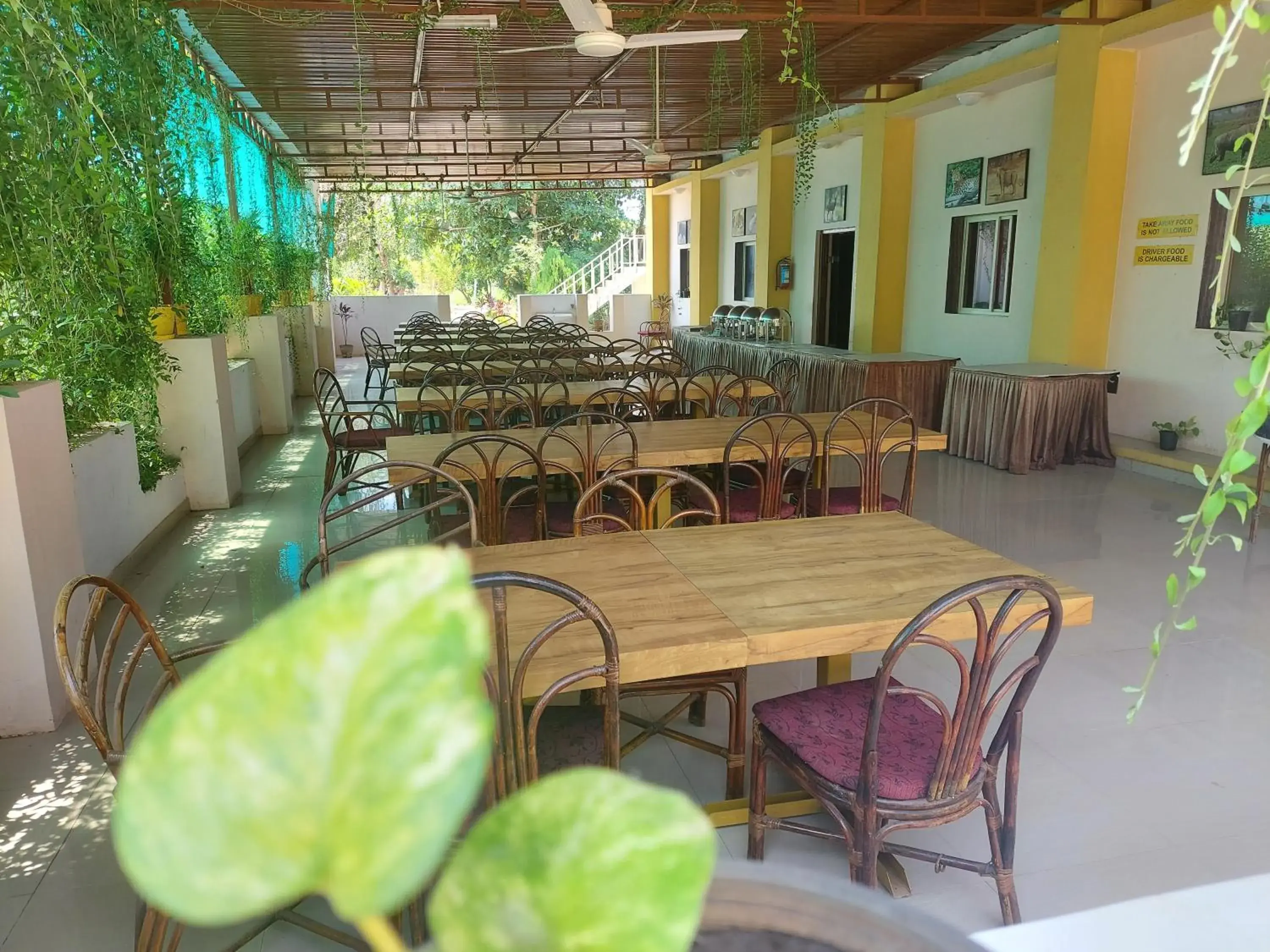 Restaurant/places to eat in Gir Jungle Lodge Restaurant/places to eat in Gir Jungle Lodge