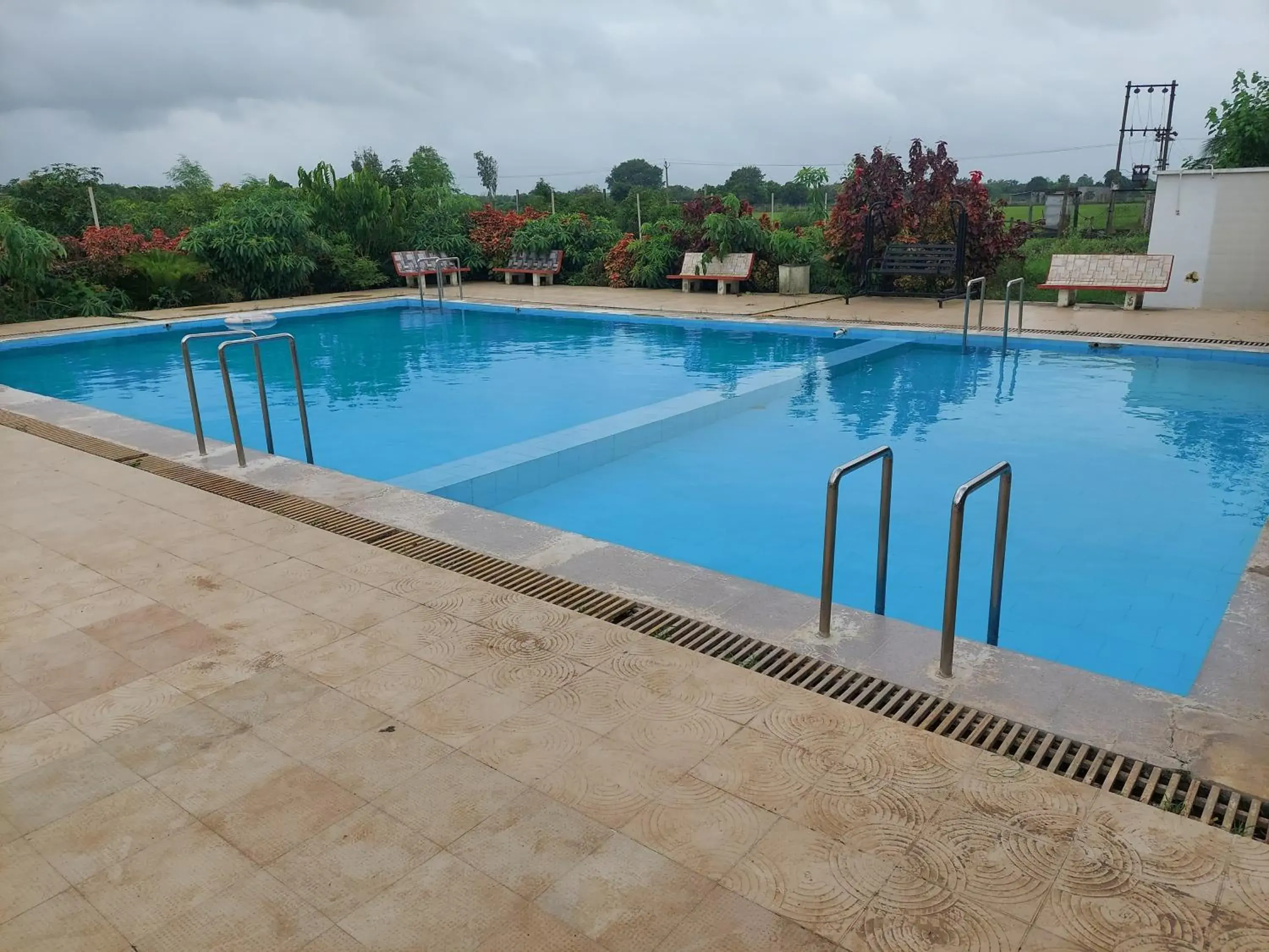 Swimming pool in Gir Jungle Lodge Swimming pool in Gir Jungle Lodge