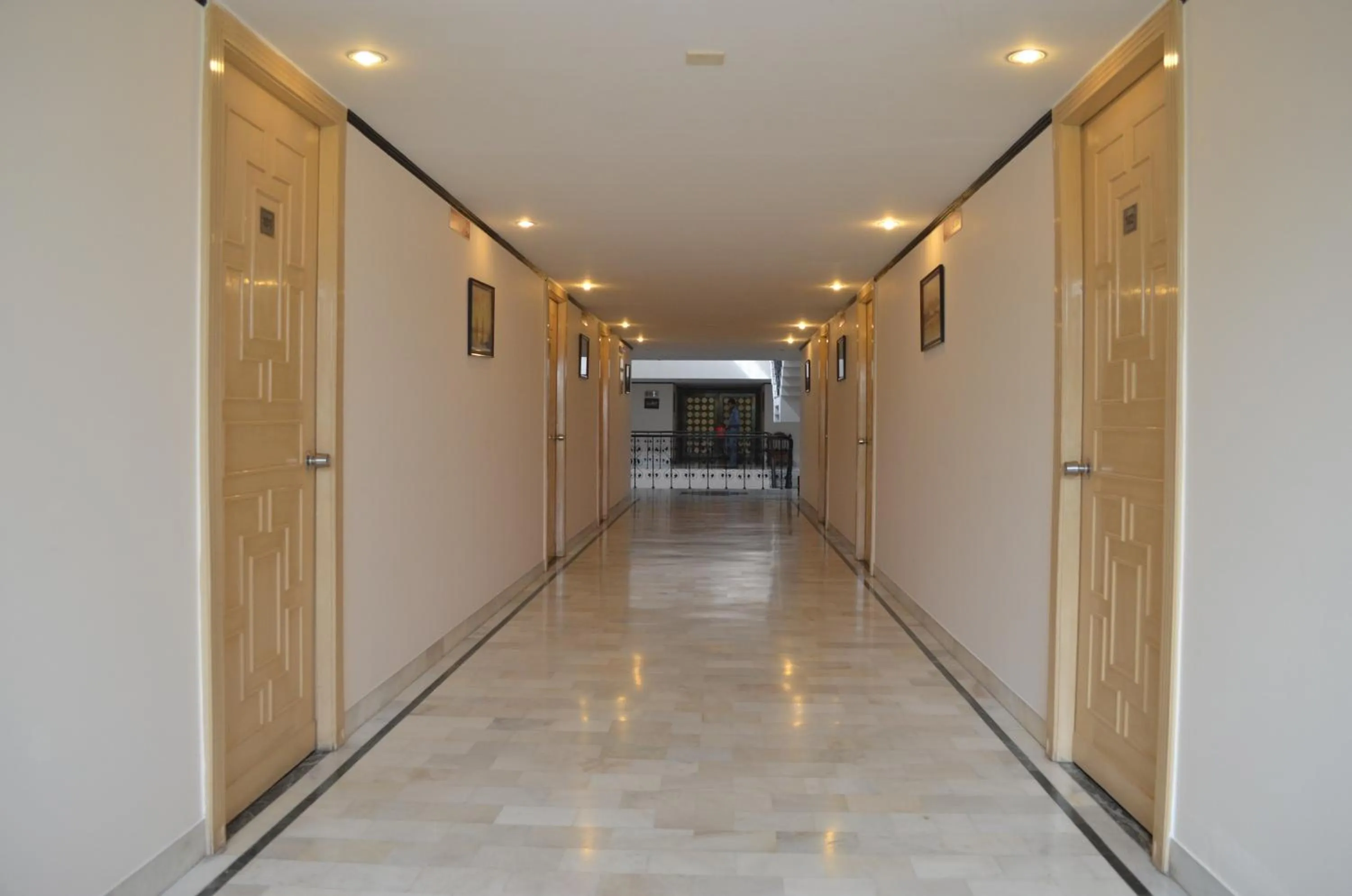 Decorative detail in The Radha Ashok