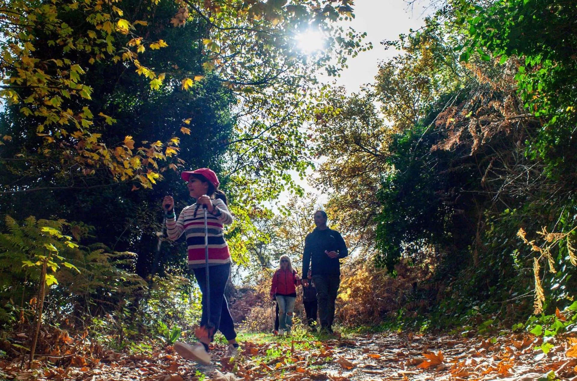 Spring in Trikalon Muses Art Suites