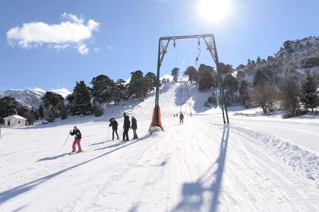 Winter in Trikalon Muses Art Suites