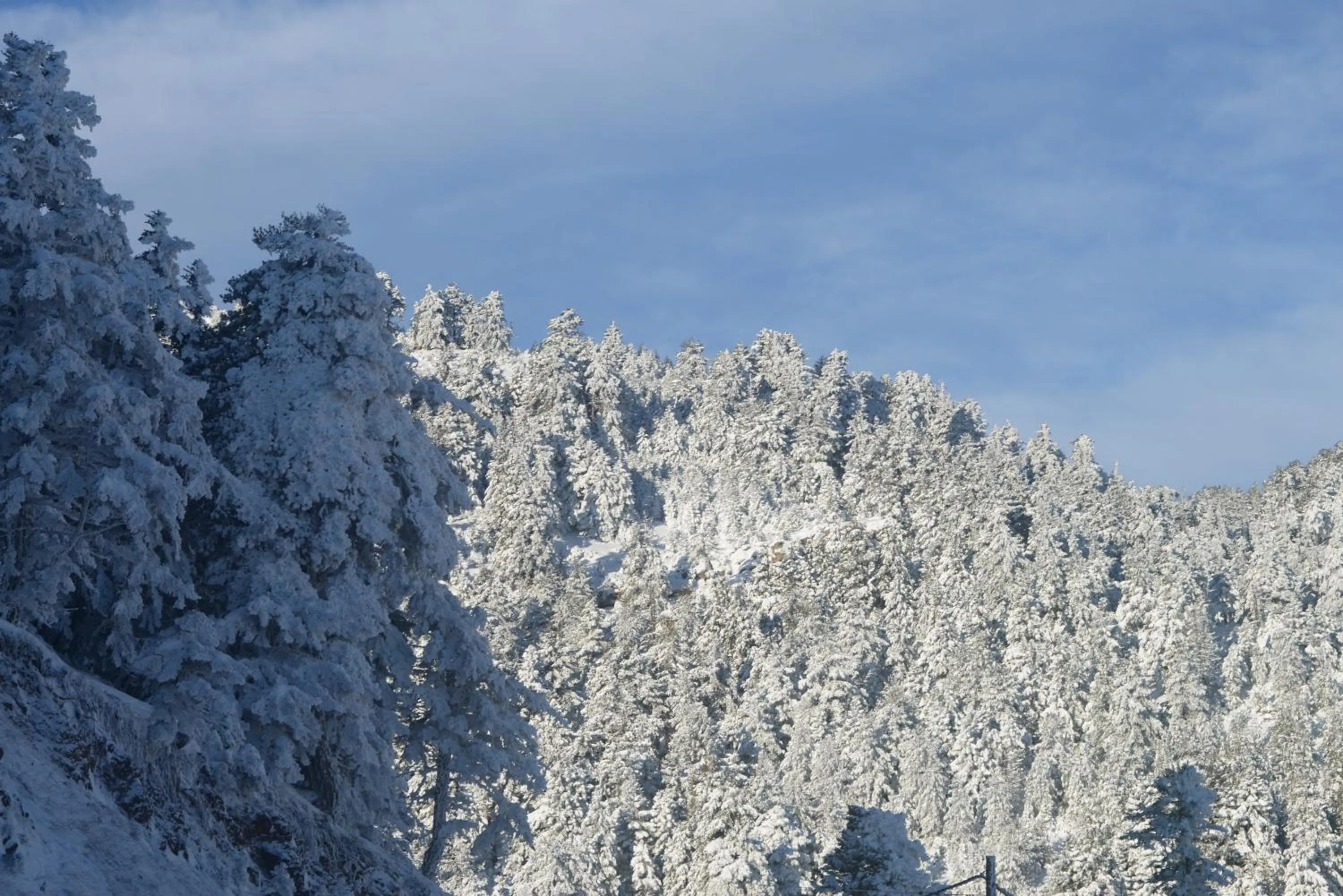 Winter in Trikalon Muses Art Suites