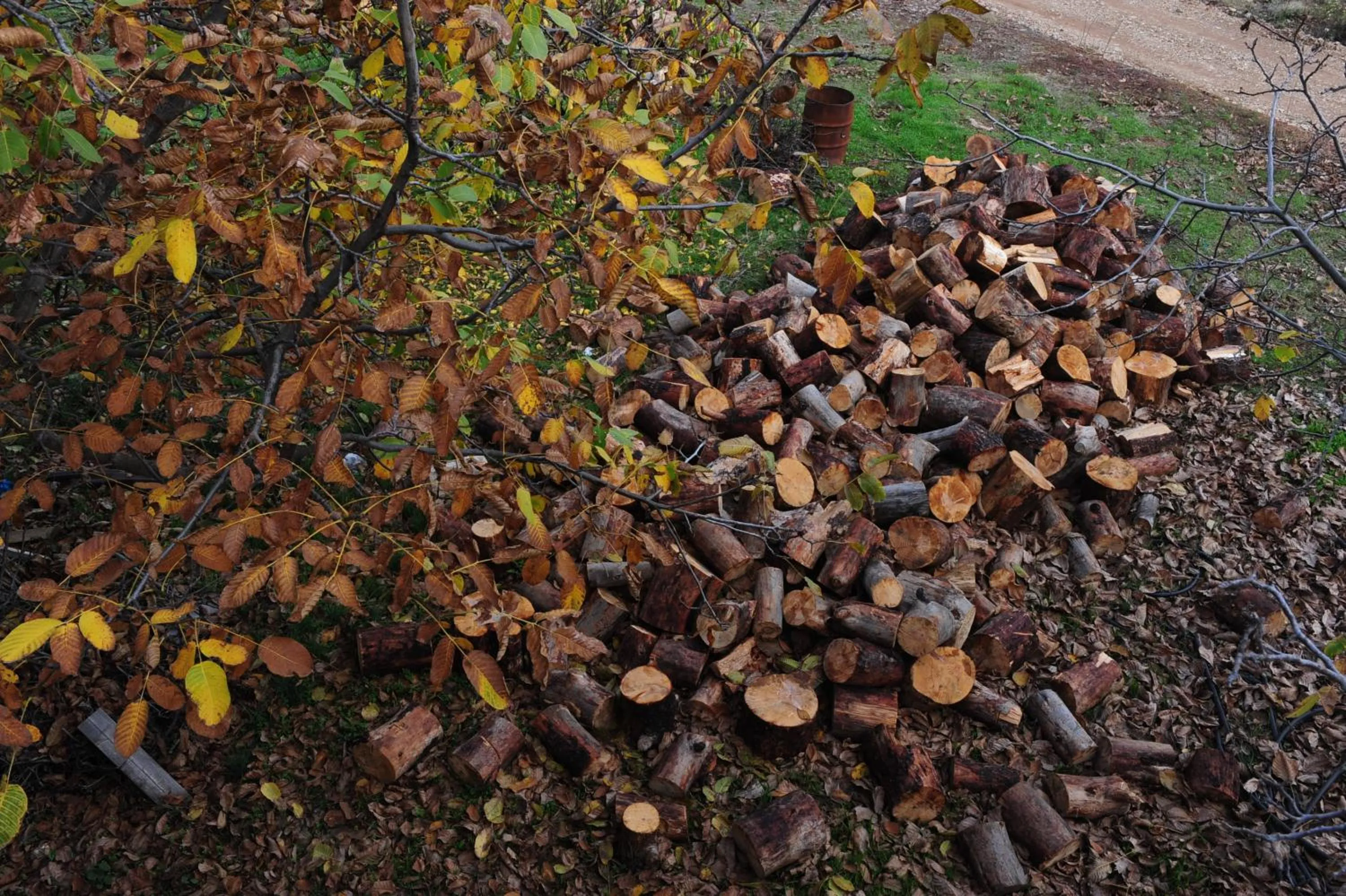 Natural landscape in Trikalon Muses Art Suites