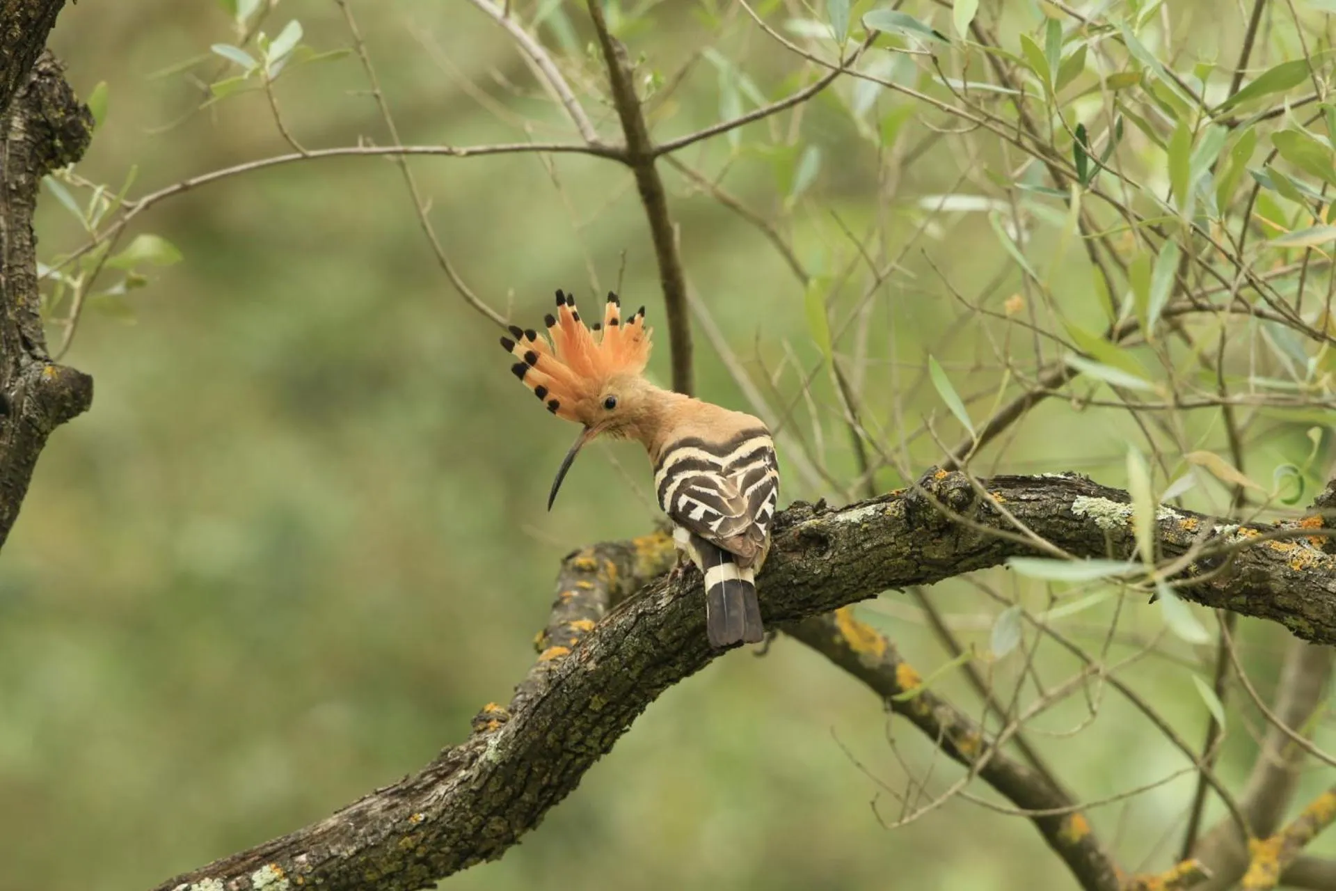 Domaine de Bellevue CHAMBRE D'HÔTES