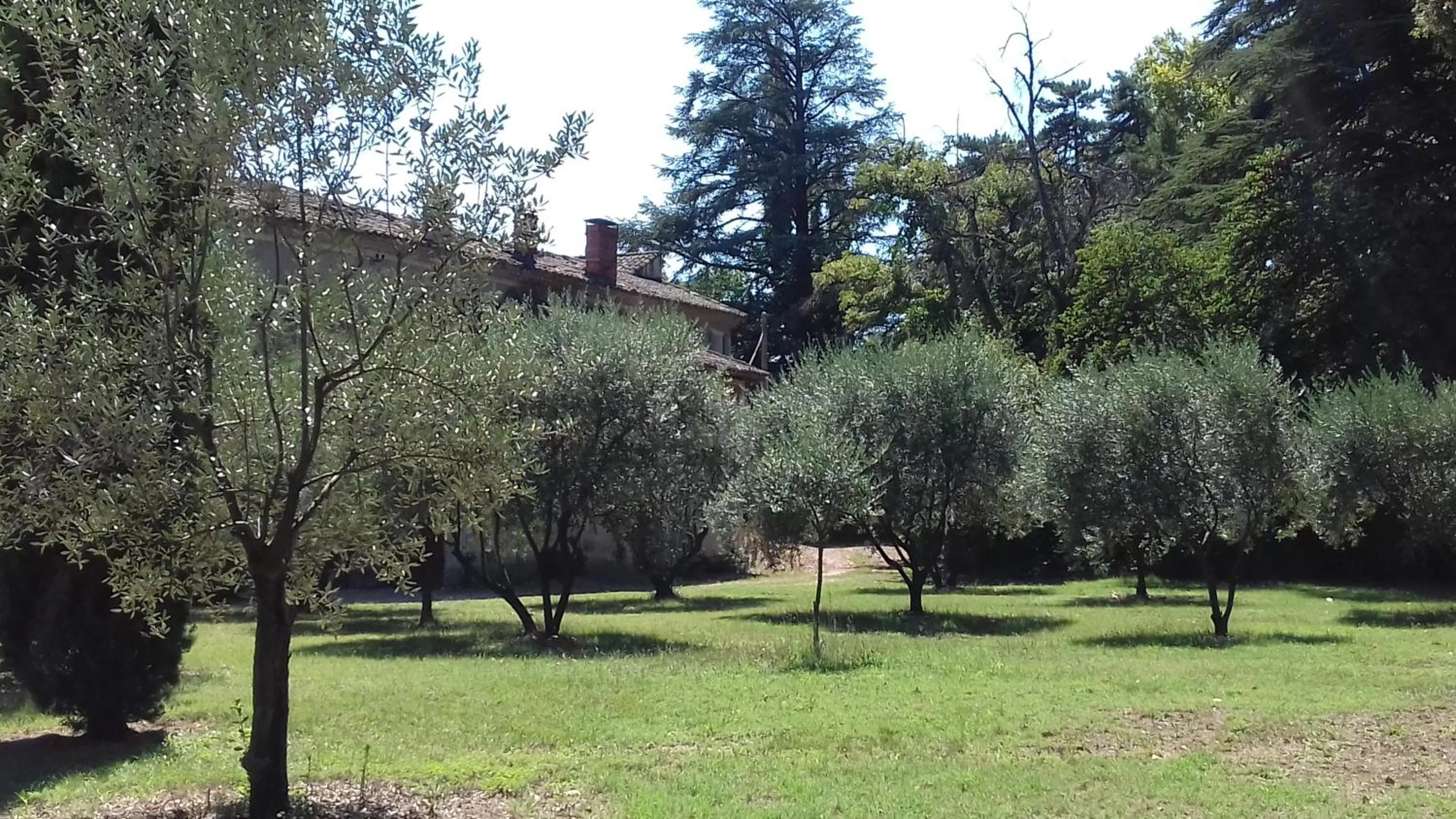 Garden in Domaine de Bellevue CHAMBRE D'HÔTES