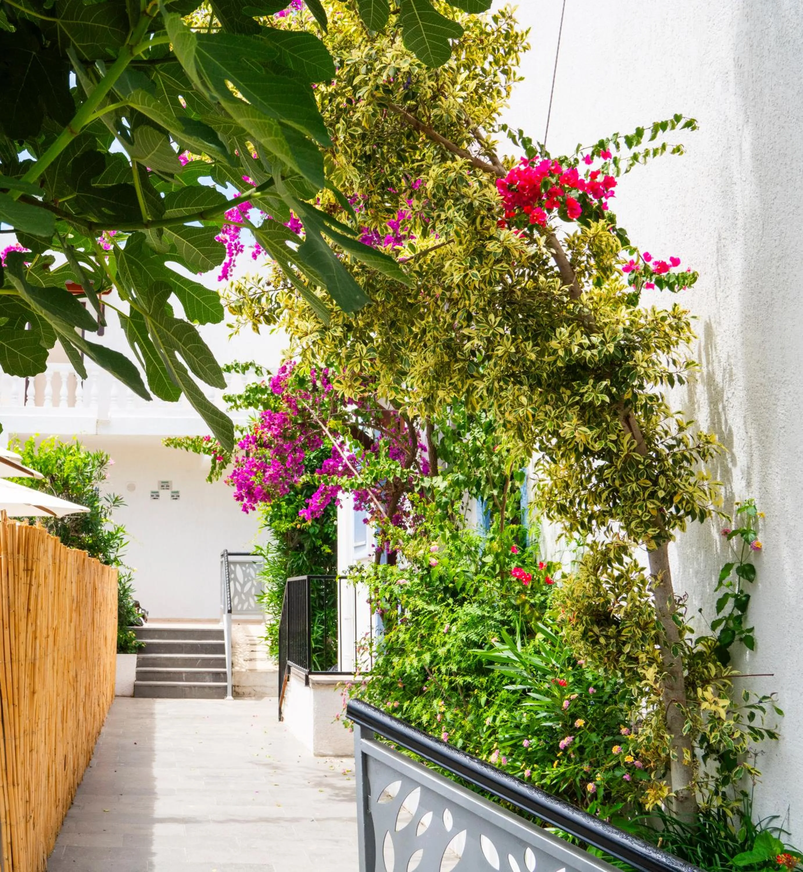 Manuela Boutique Hotel Bitez