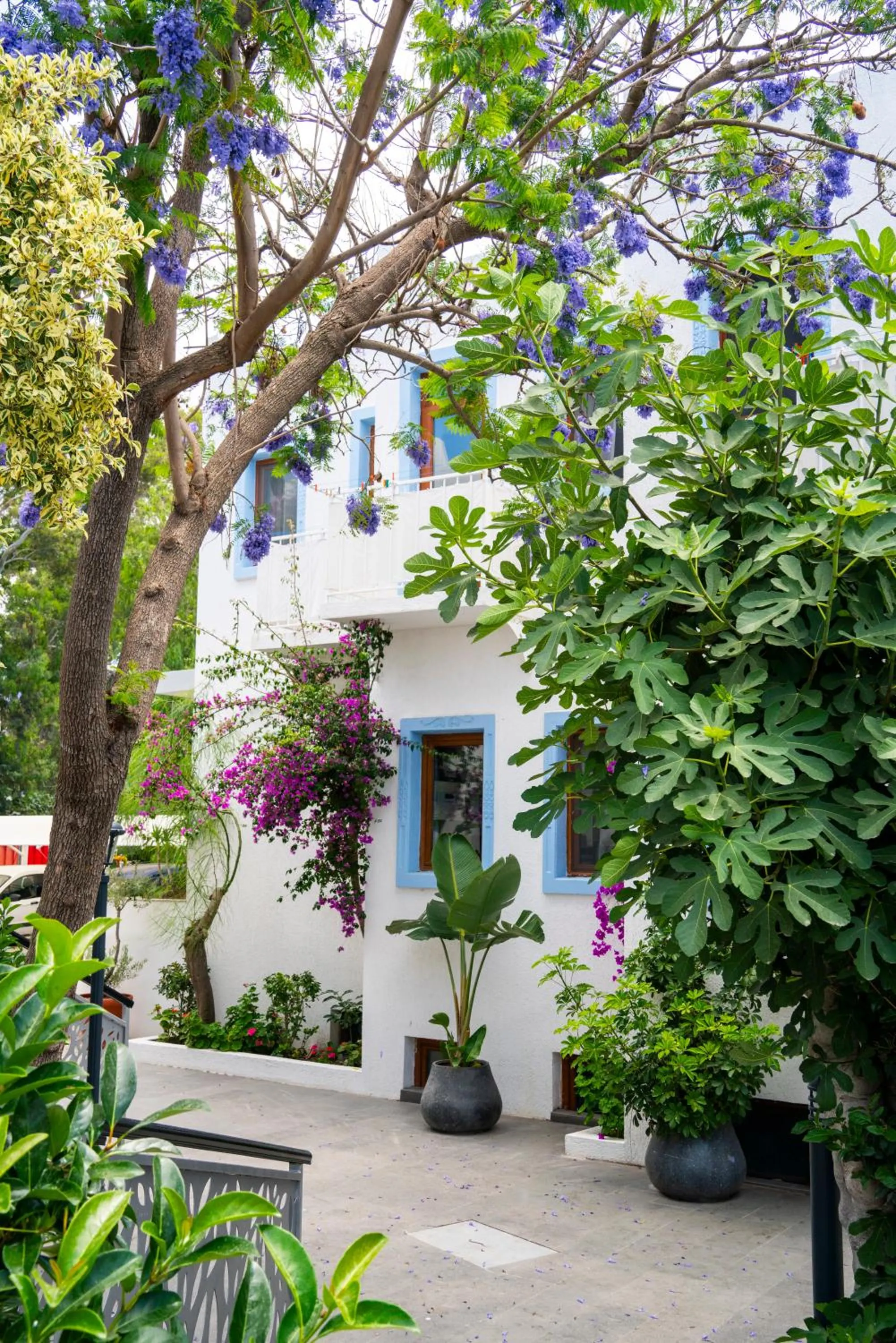 Manuela Boutique Hotel Bitez